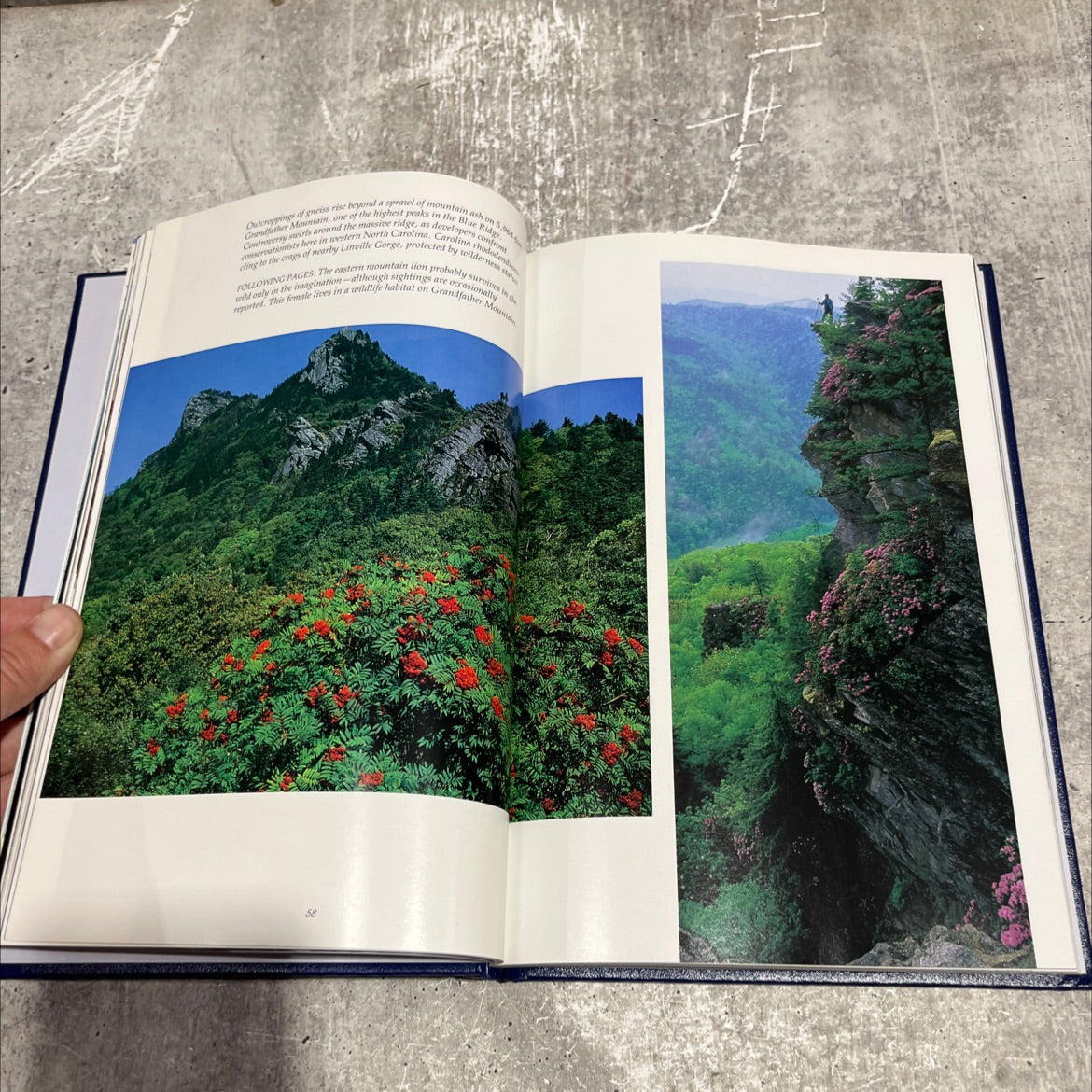 blue ridge range the gentle mountains book, by ron fisher, 1992 Hardcover image 4