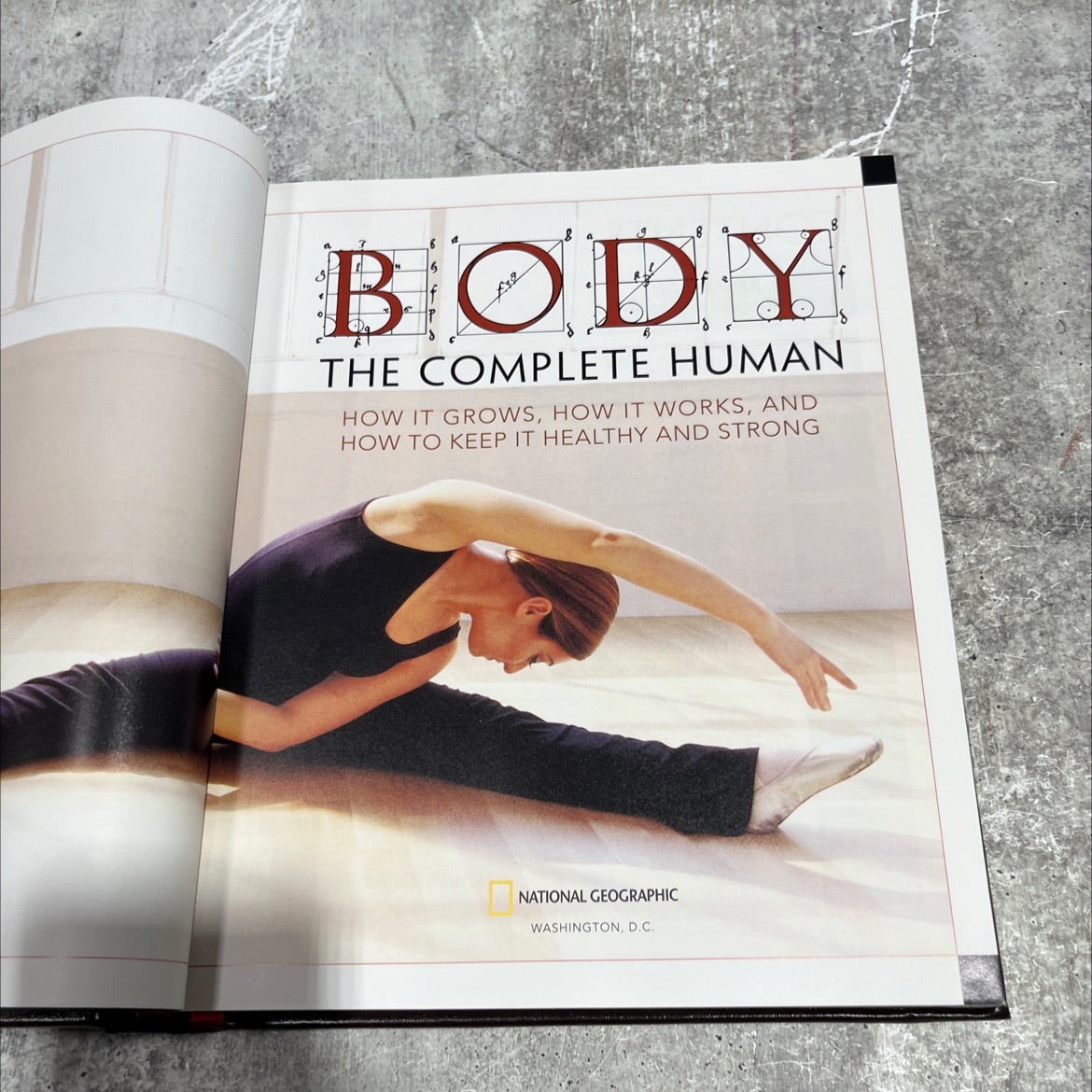 body: the complete human book, by Patricia Daniels, 2007 Leather image 2