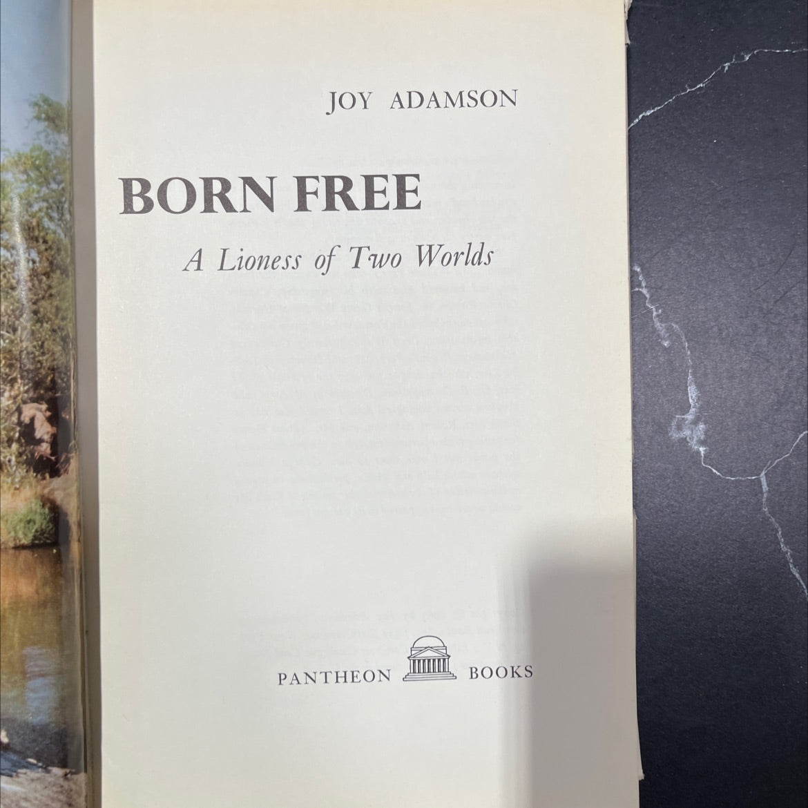 born free a lioness of two worlds book, by joy adamson, 1960 Hardcover, Vintage image 2