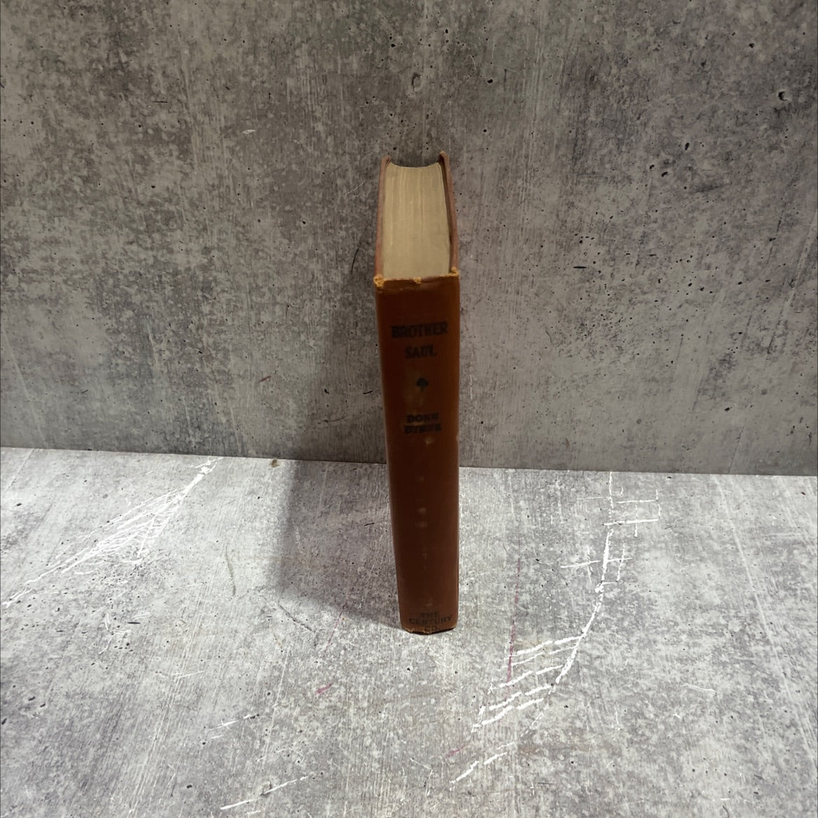 brother saul donn byrne book, by Donn Byrne, 1927 Hardcover image 4