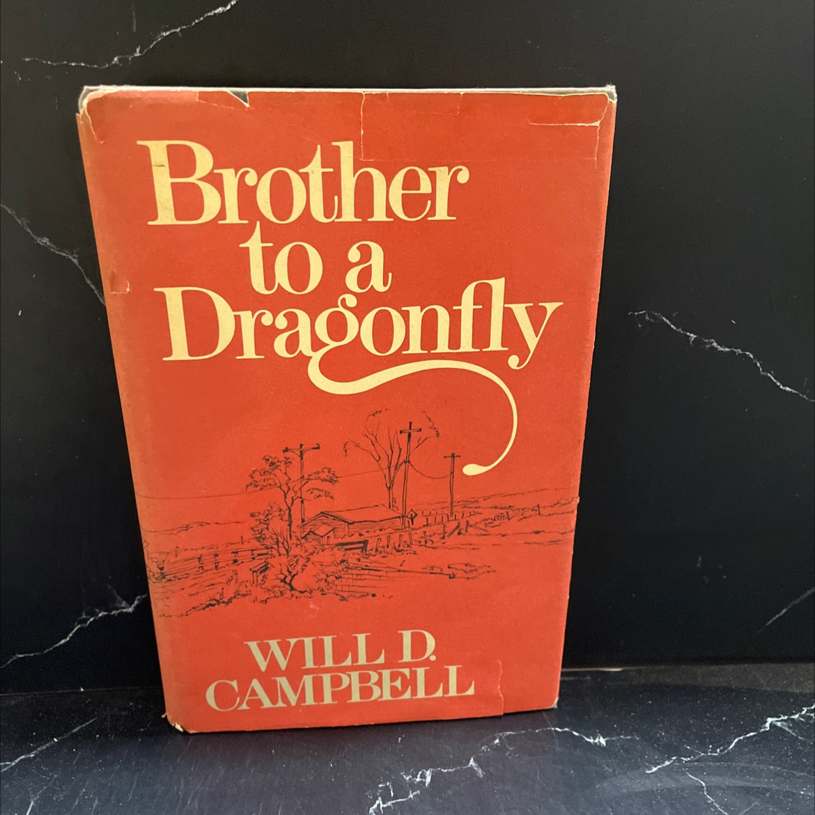 brother to a dragonfly book, by Will D. Campbell, 1977 Hardcover image 1