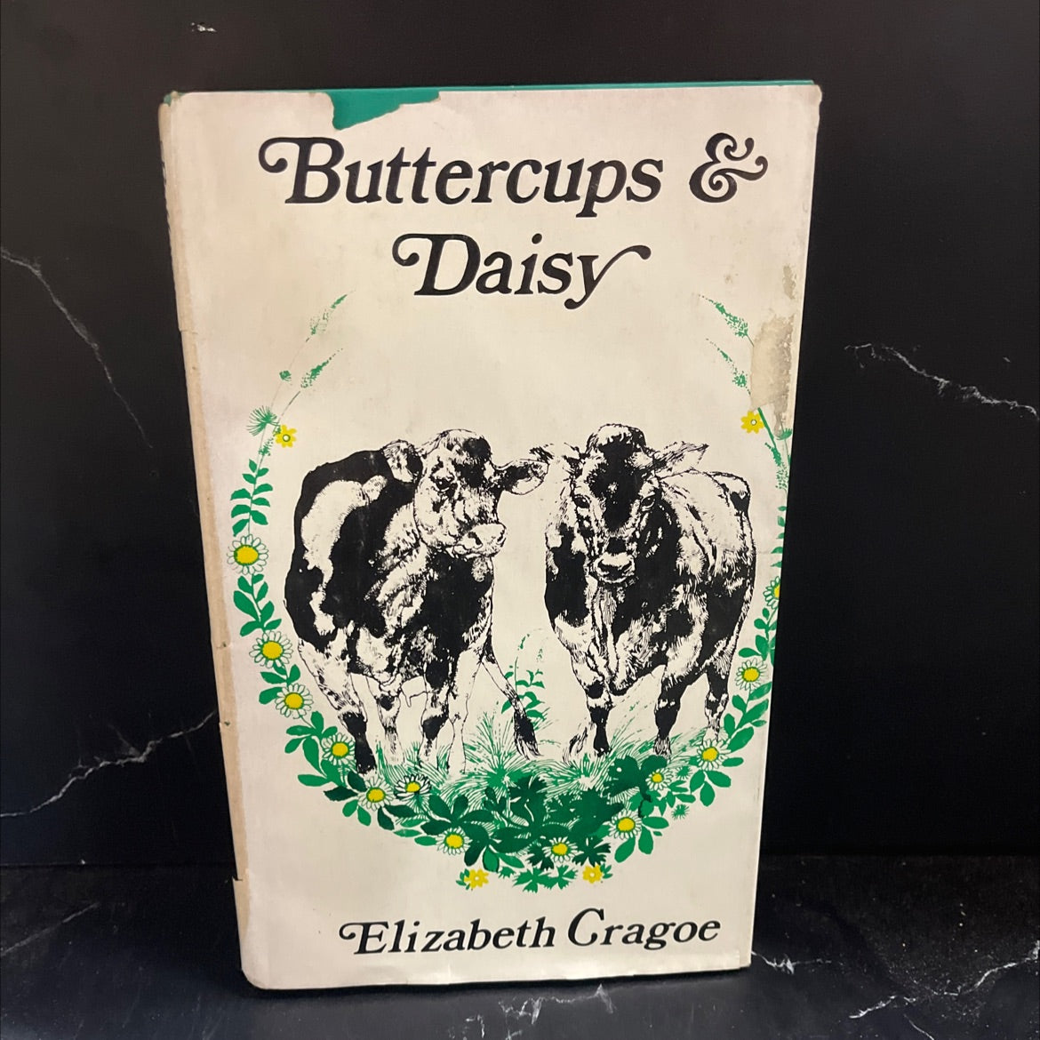 buttercups and daisies book, by Elizabeth Cragoe, 1977 Hardcover image 1