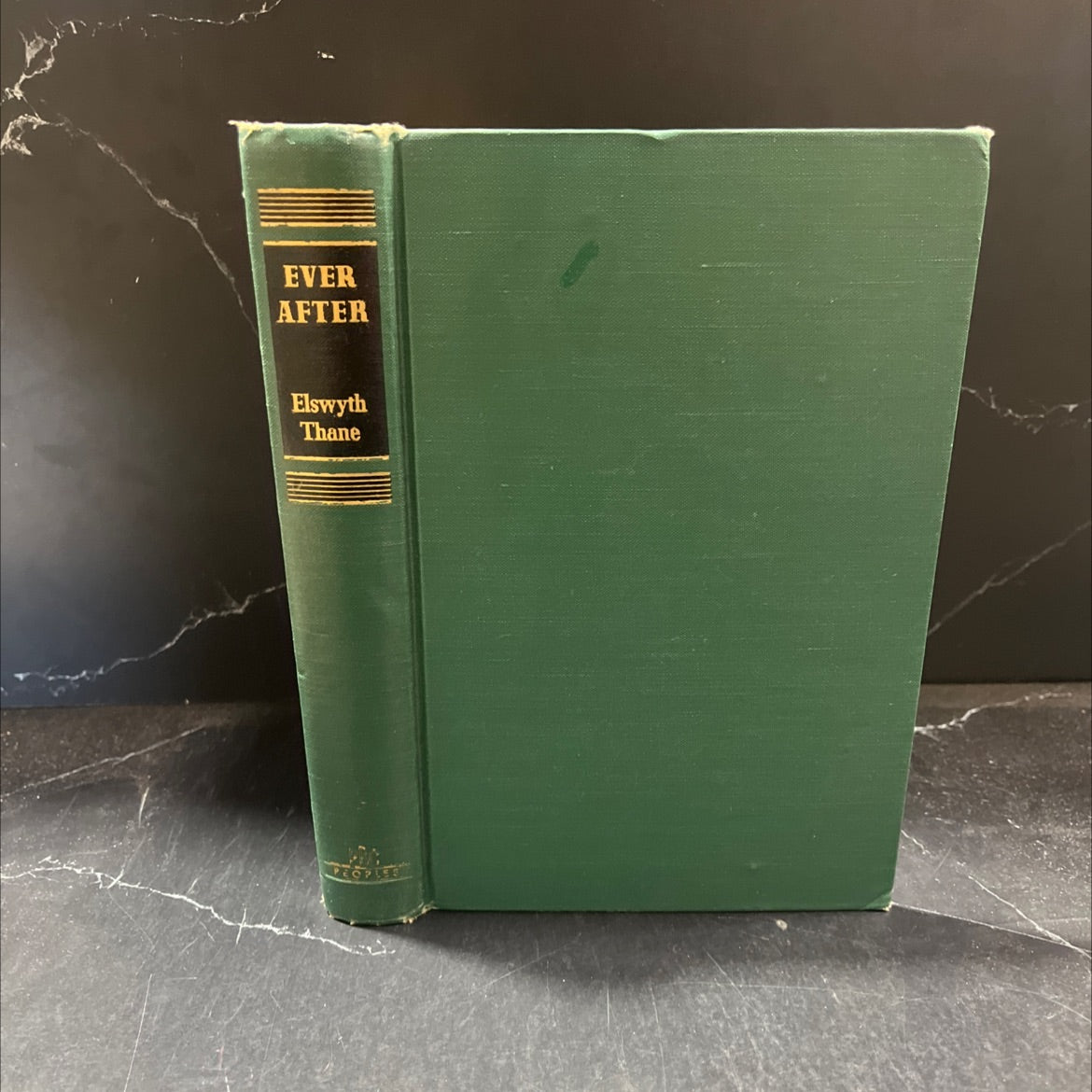 cago ever after book, by Elswyth Thane, unknown Hardcover image 1