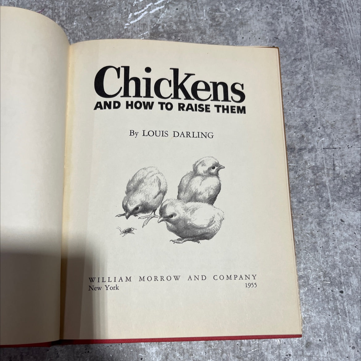 chickens and how to raise them book, by louis darling, 1955 Hardcover image 2