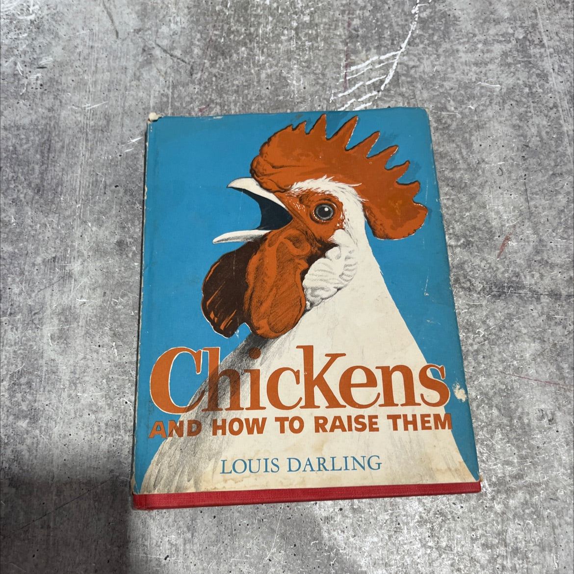 chickens and how to raise them book, by louis darling, 1955 Hardcover image 1