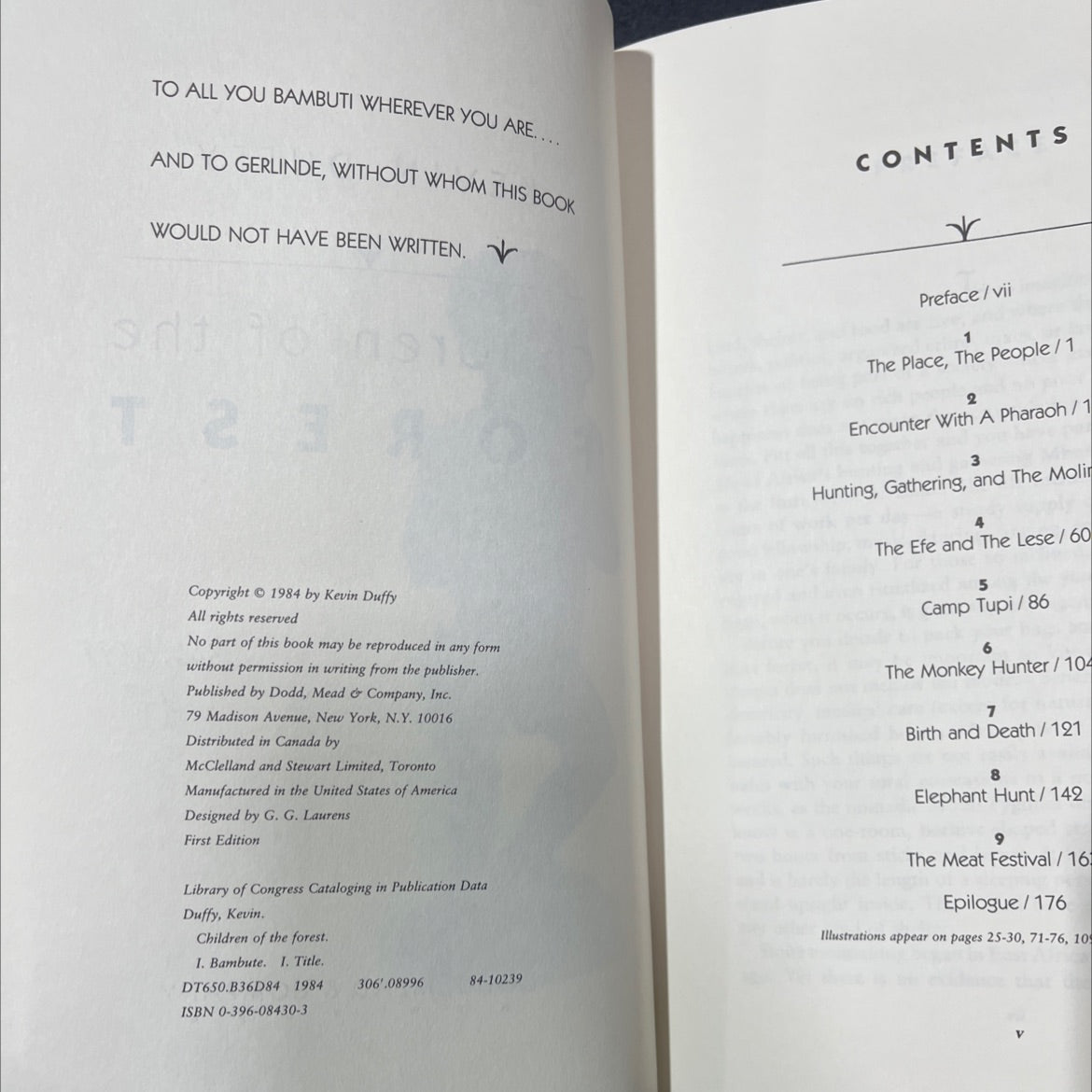 children of the forest book, by kevin duffy, 1985 Hardcover, Heavily Used image 3