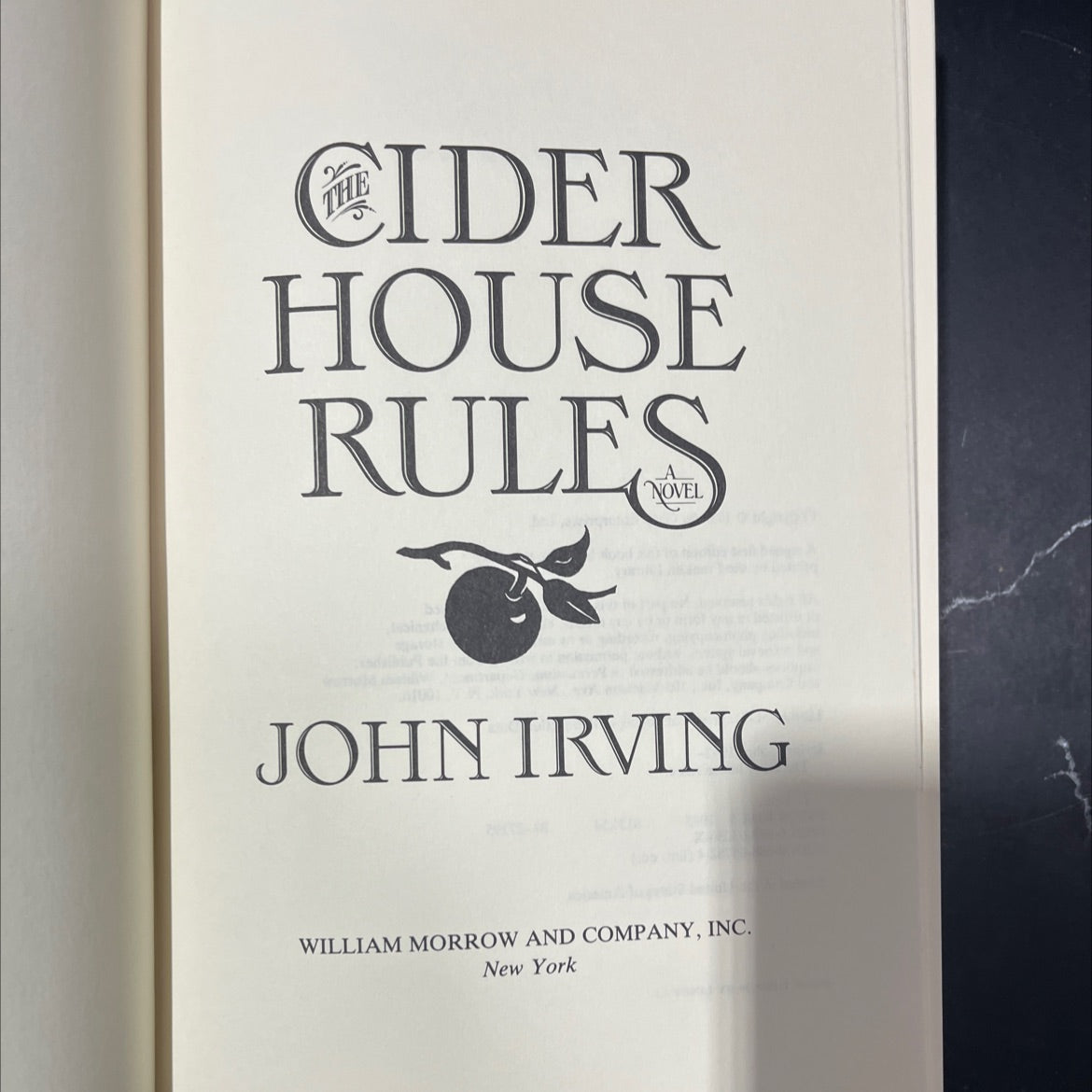 cider house rules book, by john irving, 1985 Hardcover image 2