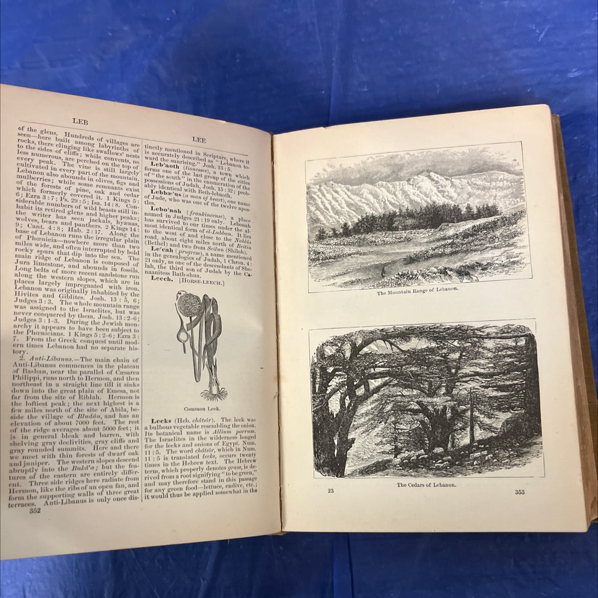 cient ephesus a dictionary of the bible comprising its antiquities biography geography natural history and literature image 4