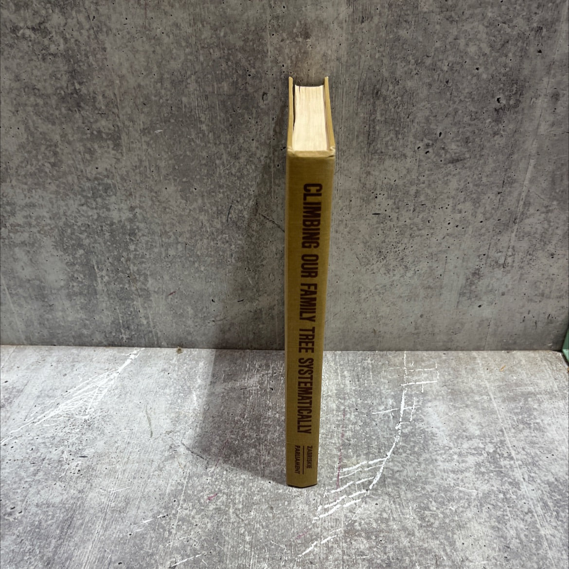 climbing our family tree systematically book, by george olin zabriskie, 1969 Hardcover image 4