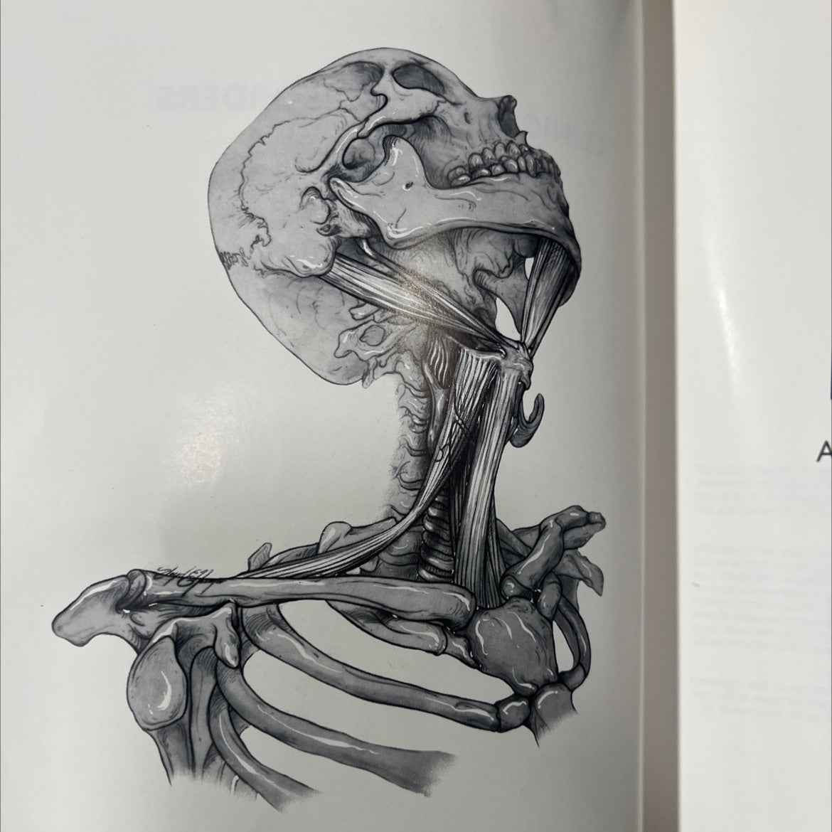 clinical voice disorders book, by arnold e. aronson, 1990 Hardcover image 4