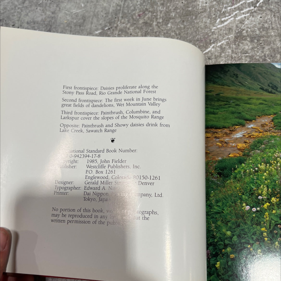 colorado john fielder wildflowers book, by John Fielder, 1985 Hardcover image 3
