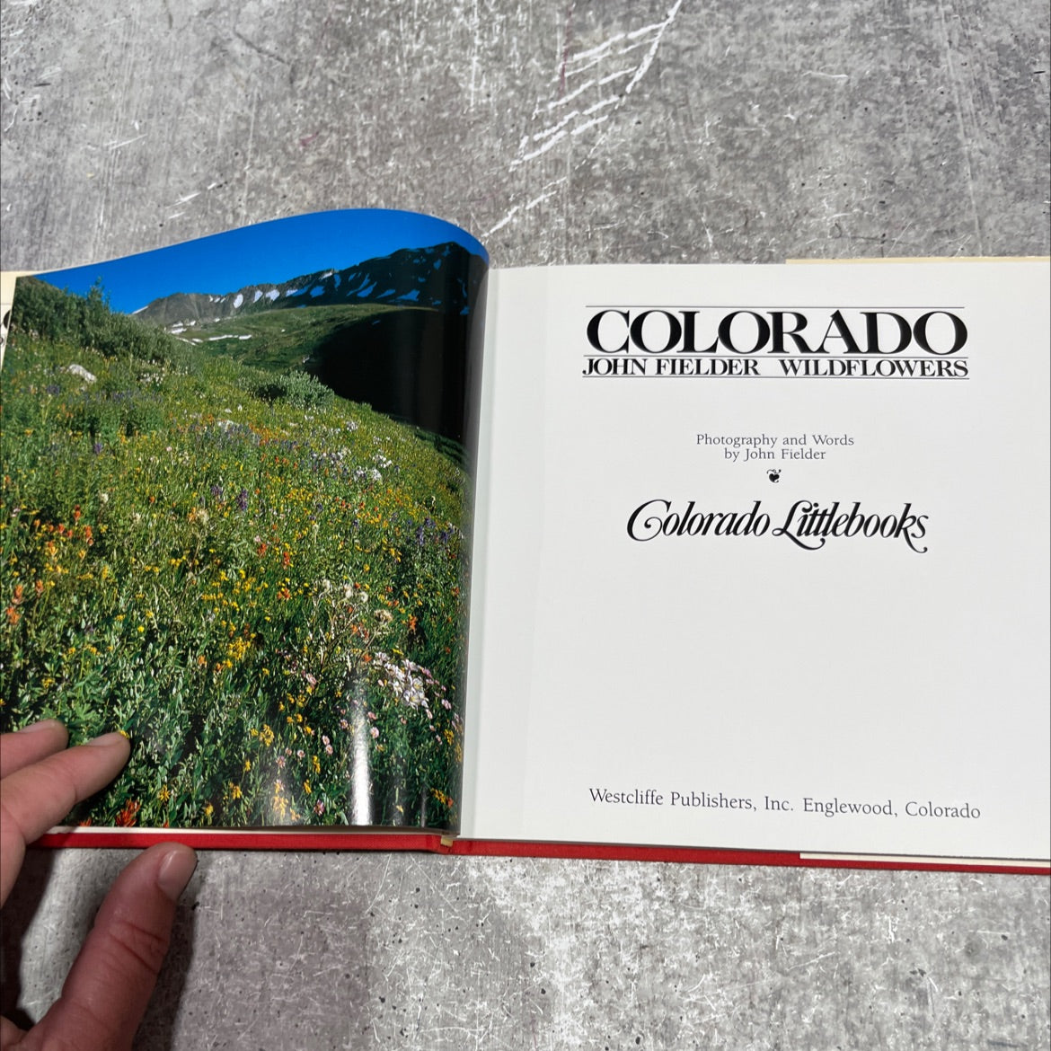 colorado john fielder wildflowers book, by John Fielder, 1985 Hardcover image 2