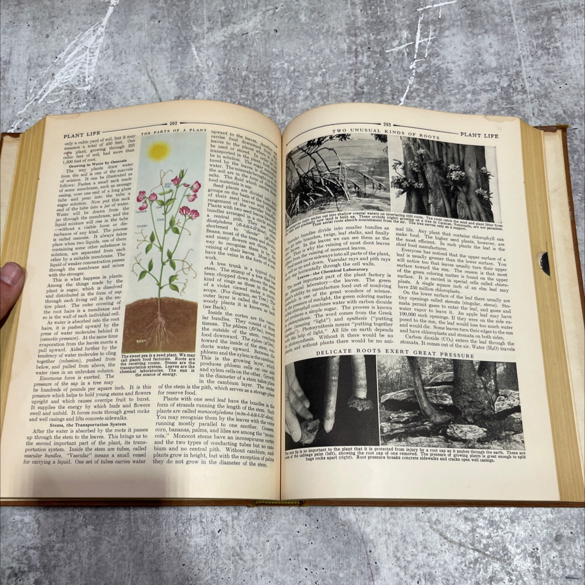 compton's pictured encyclopedia and fact-index book, by unknown