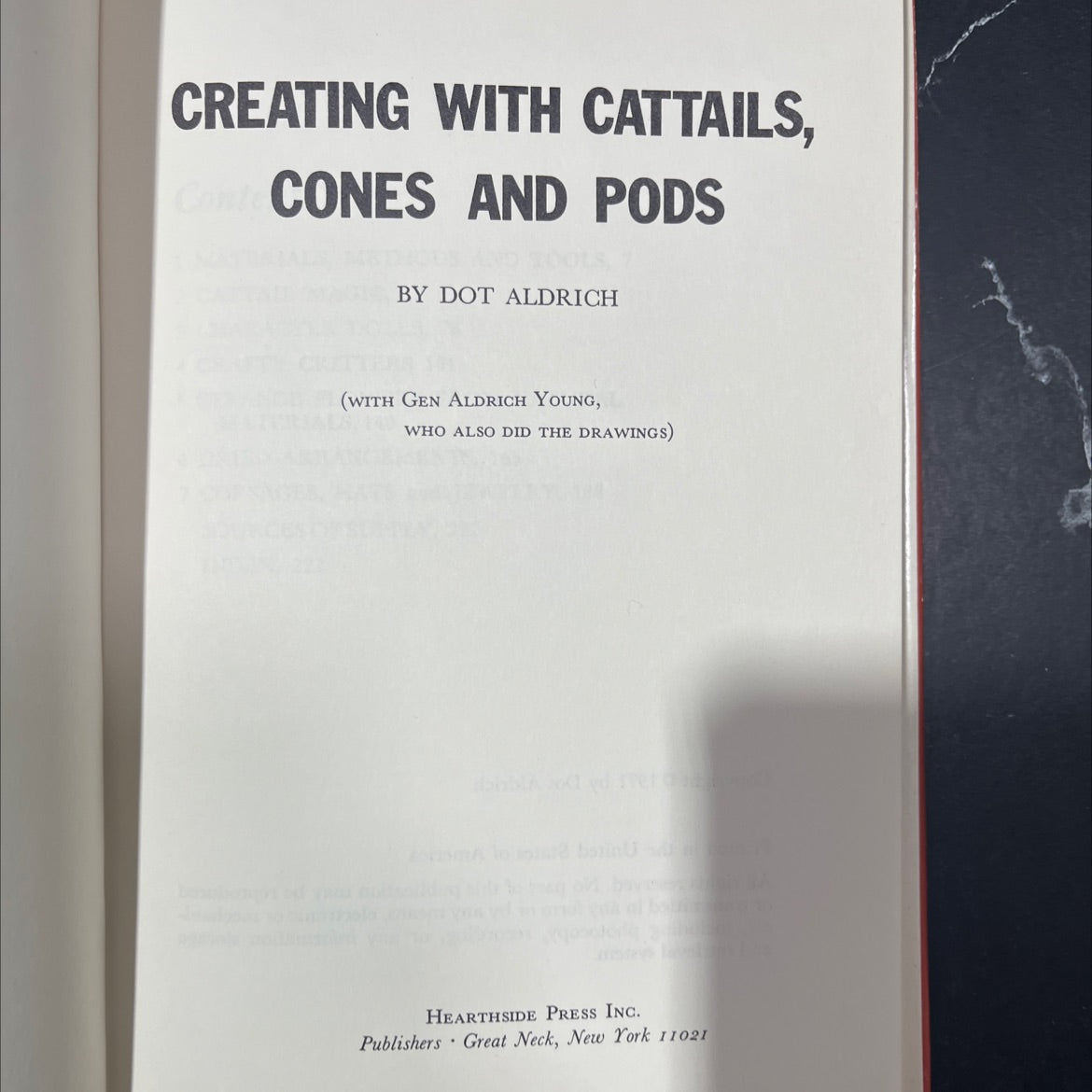 creating with cattails, cones and pods book, by Dot Aldrich, 2009 Hardcover image 2