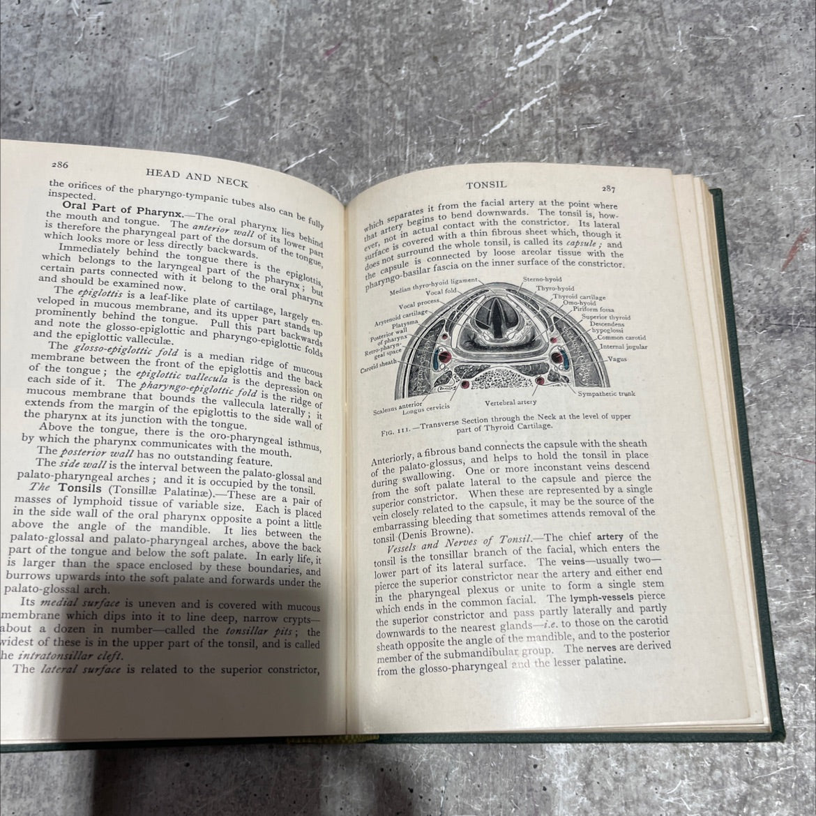 cunningham's manual of practical anatomy revised and edited by j. c. brash and e. b. jamieson tenth edition volume image 4