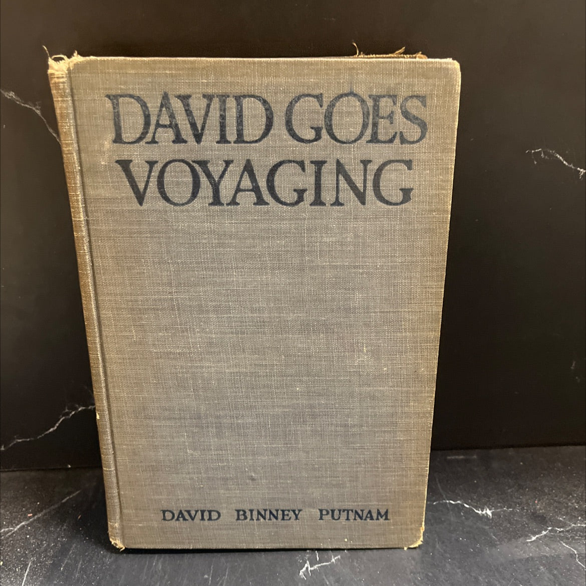 david goes voyaging book, by david binney putnam, 1925 Hardcover image 1