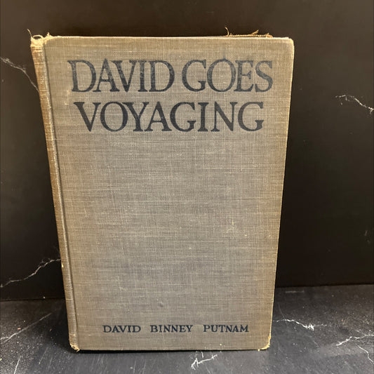 david goes voyaging book, by david binney putnam, 1925 Hardcover image 1