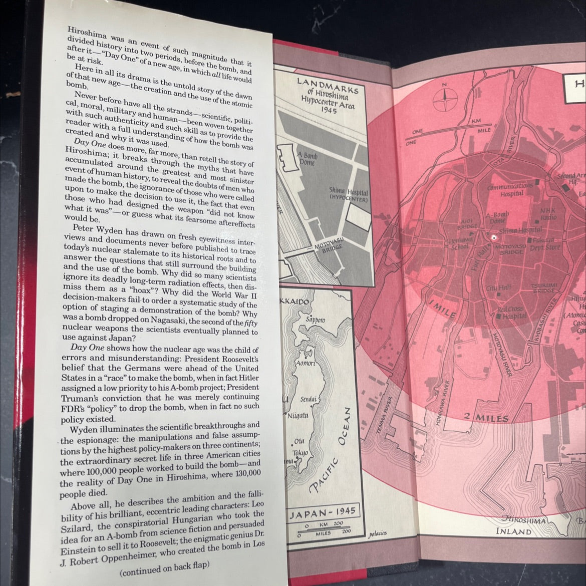 day one book, by Peter Wyden, 1984 Hardcover image 4