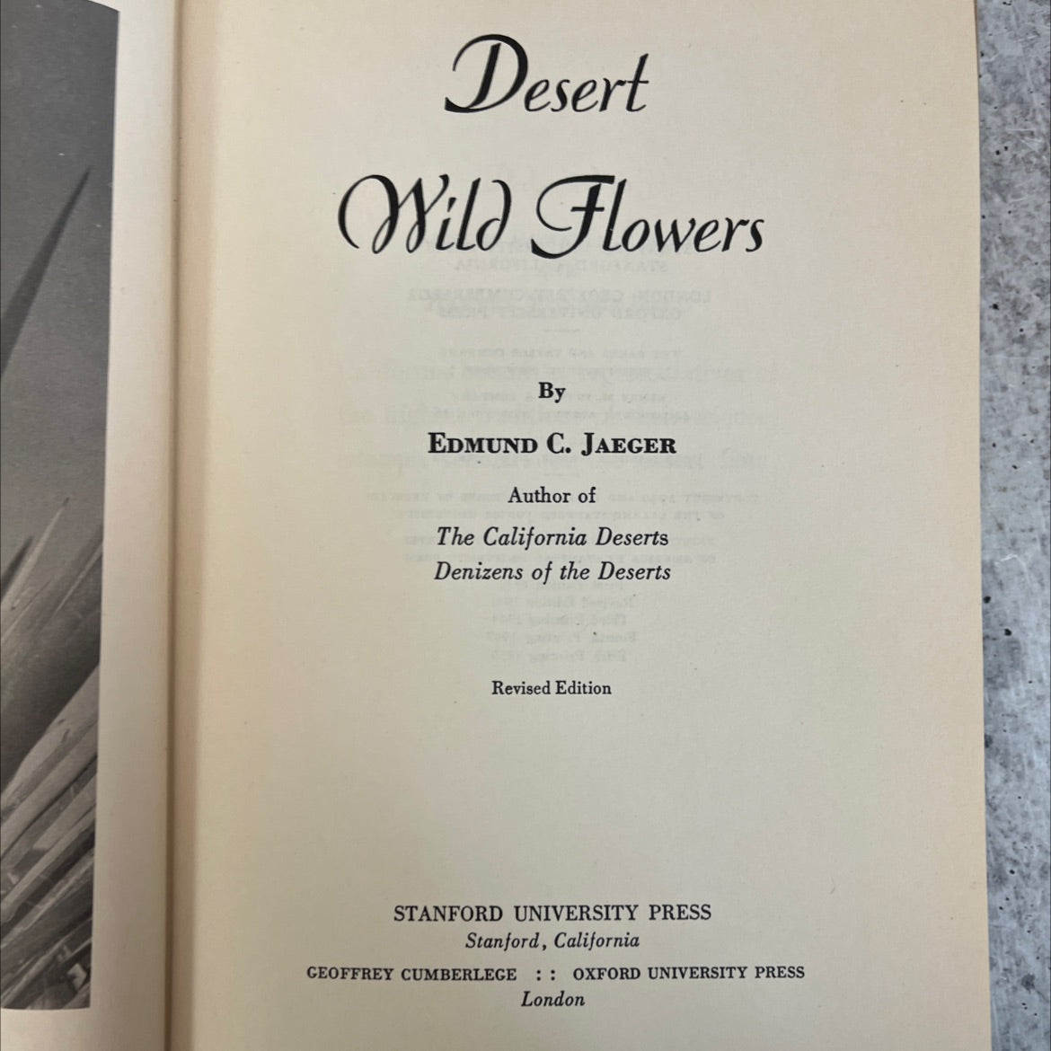 desert wild flowers book, by edmund c. jaeger, 1941 Hardcover, Vintage image 2