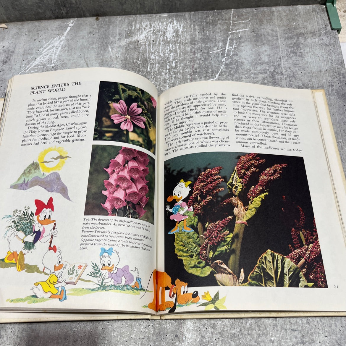 disney's wonderful world of knowledge book, by robert b. clarke, 1973 Hardcover image 4