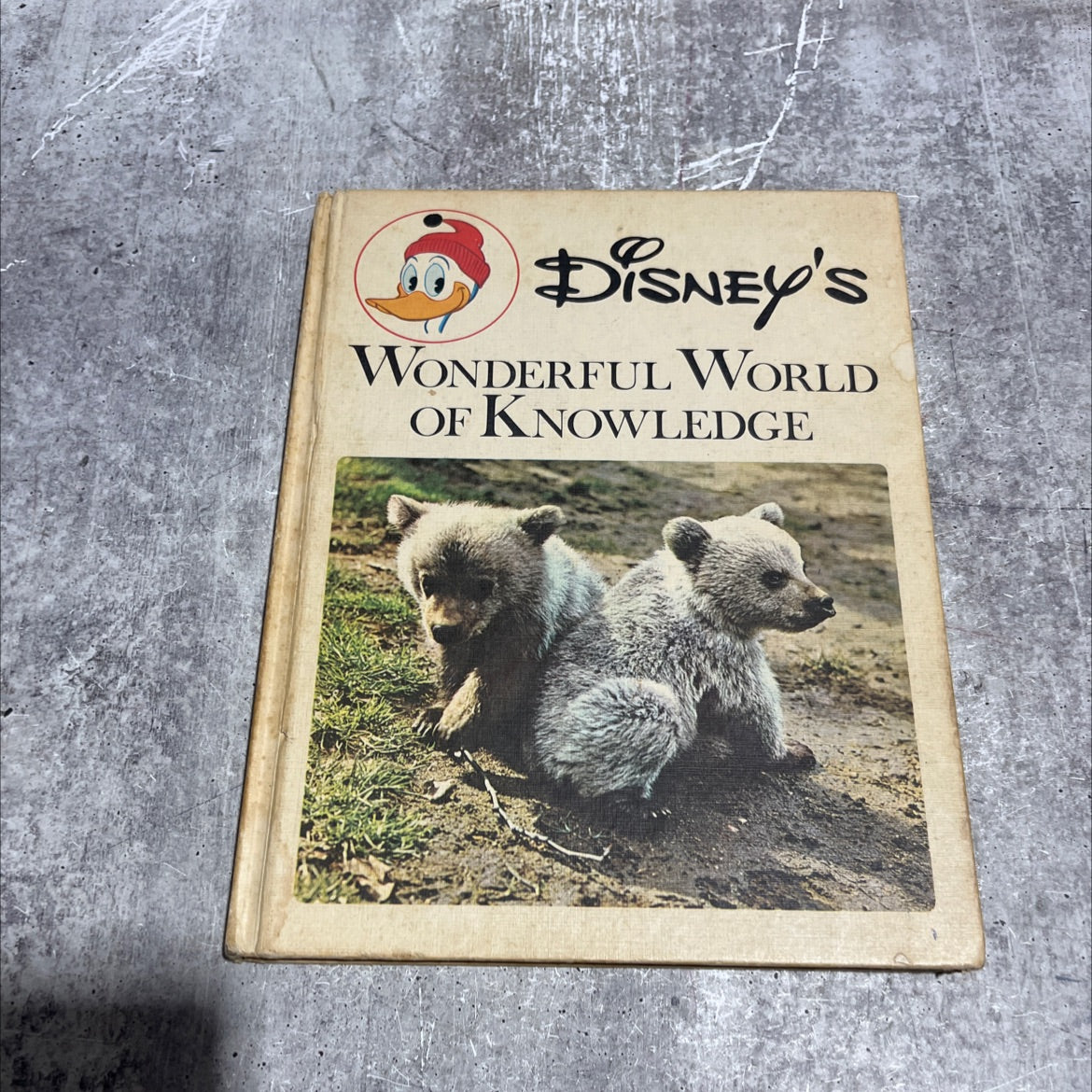 disney's wonderful world of knowledge book, by unknown, 1973 Hardcover image 1