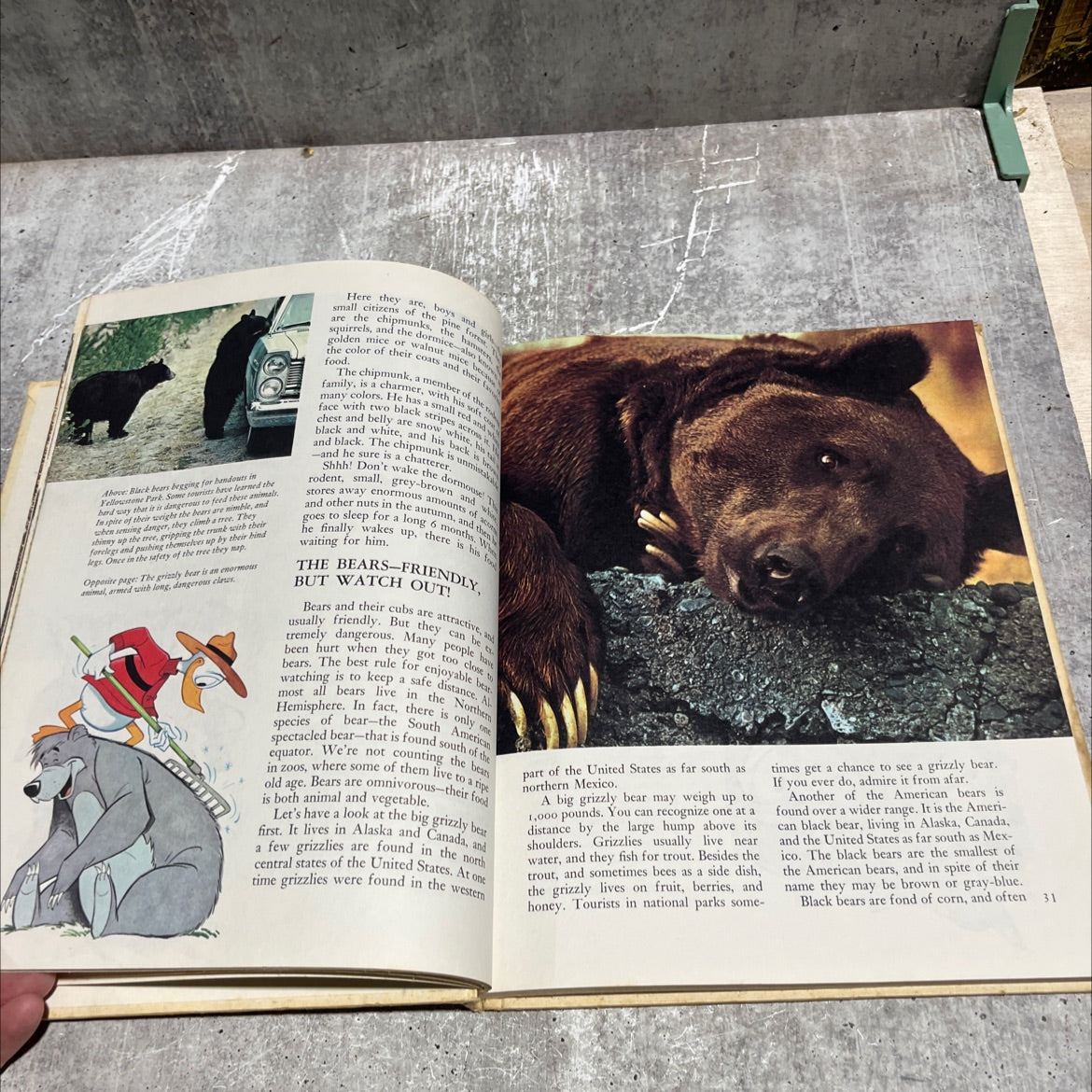 disney's wonderful world of knowledge book, by unknown, 1973 Hardcover image 4