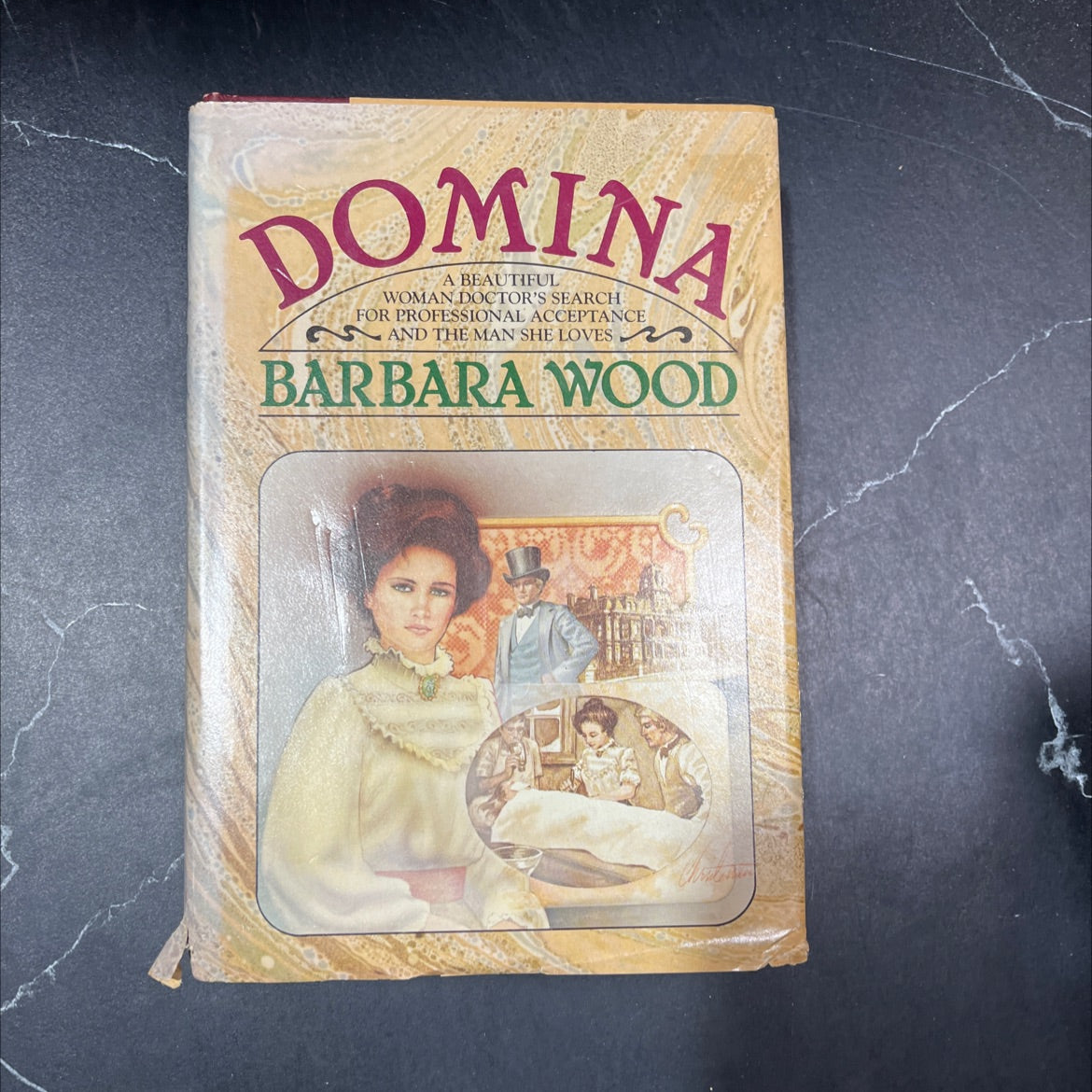 domina book, by barbara wood, 1983 Hardcover image 1