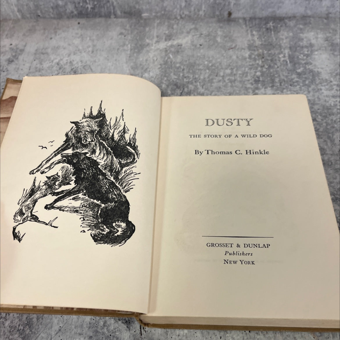 dusty the story of a wild dog book, by thomas c. hinkle, 1940 Hardcover image 2