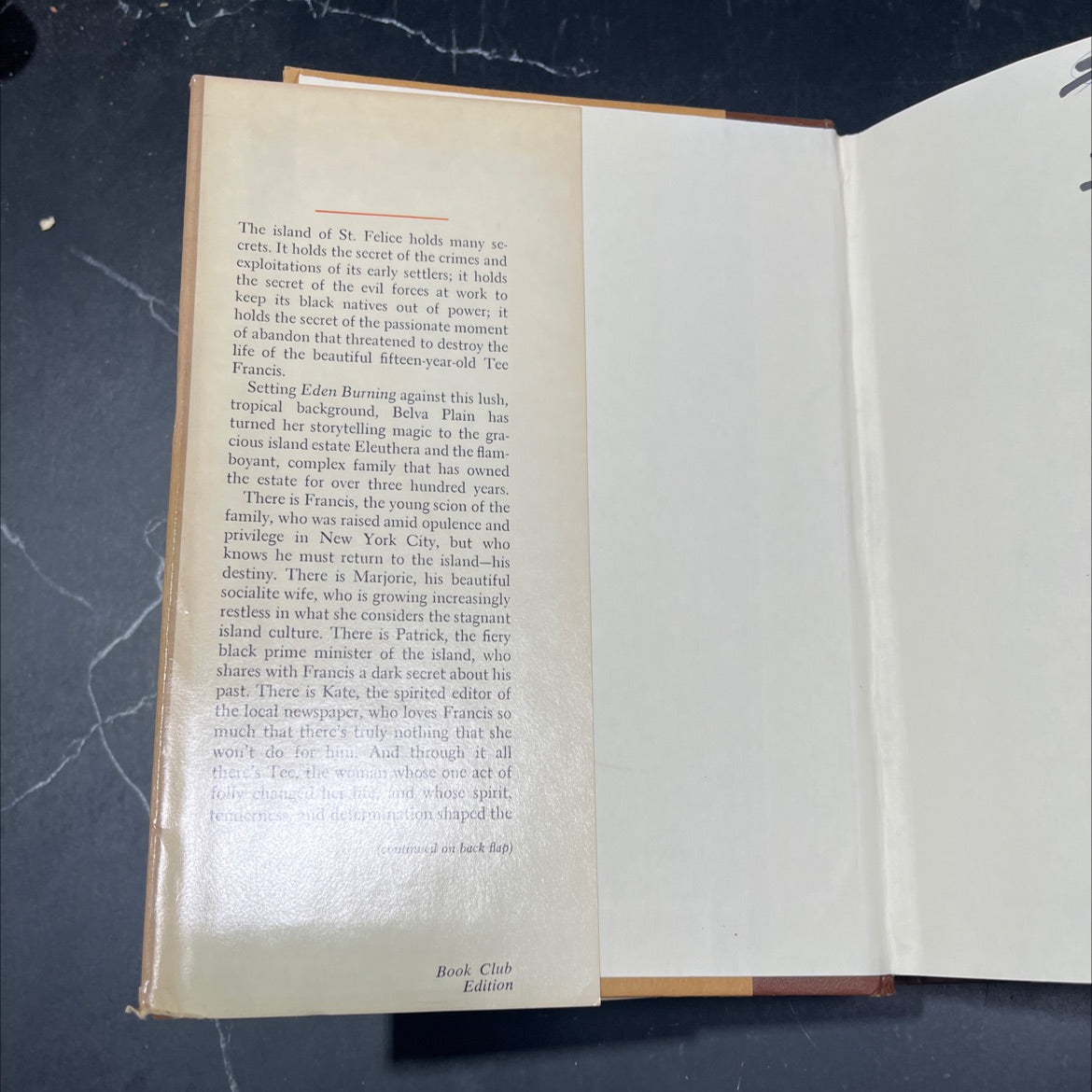 eden burning book, by belva plain, 1982 Hardcover image 4