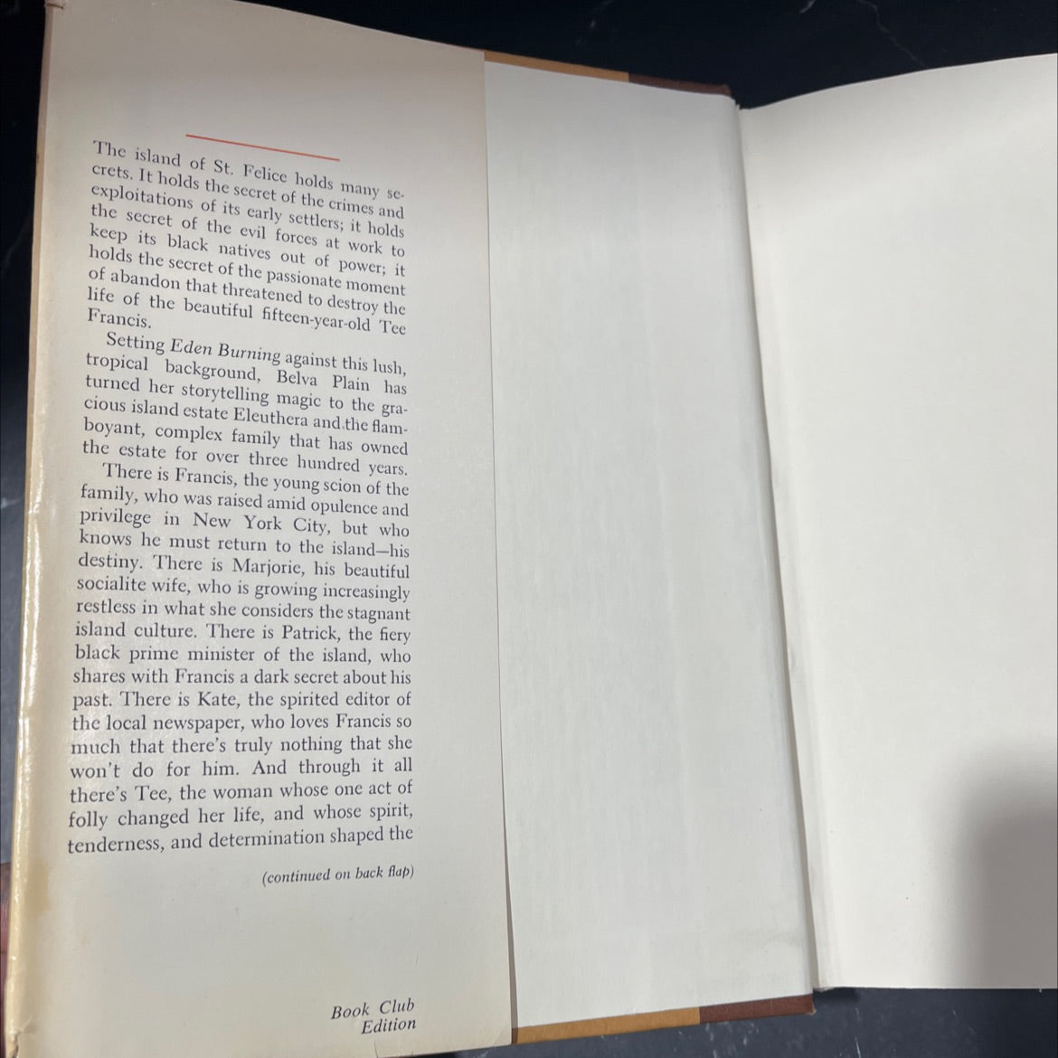 edenburning book, by belva plain, 1982 Hardcover image 4