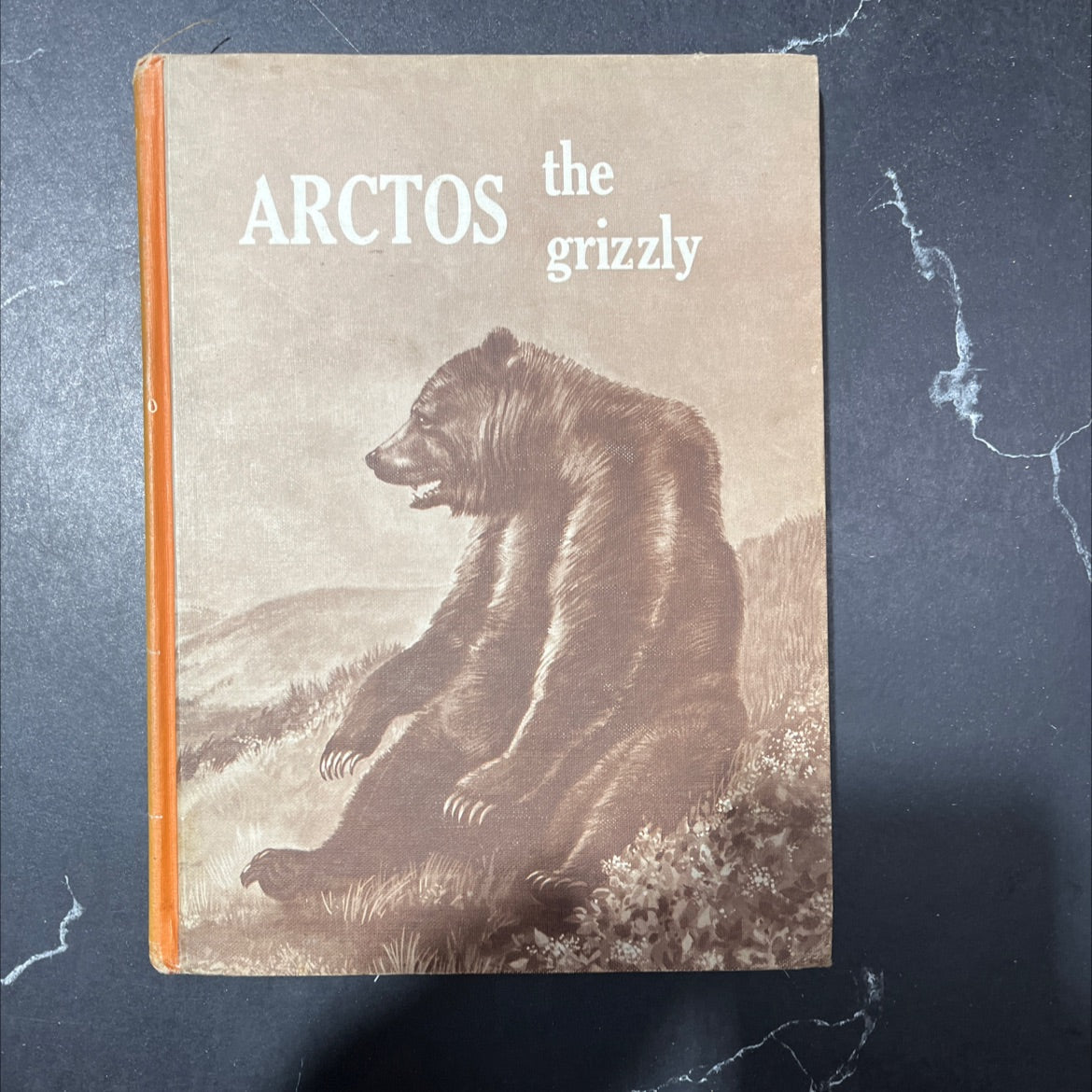 eseatitle 1 table of contoneonta arctos the grizzly book, by rhoda leonard, 1966 Hardcover image 1
