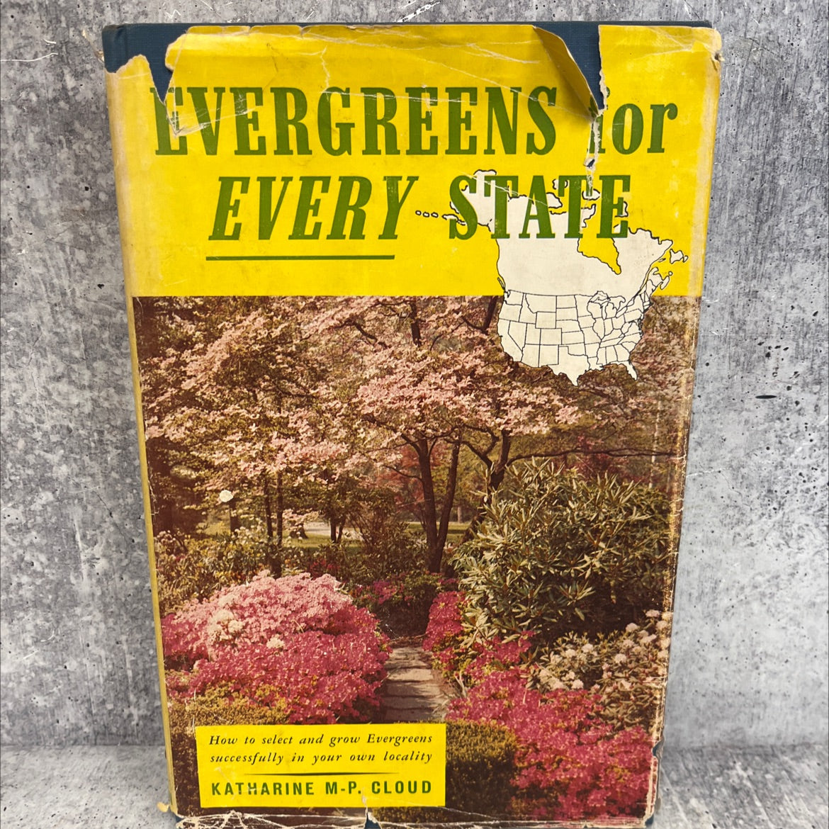 evergreens for every state how to select and grow them successfully in your locality book, by katharine m-p. cloud, image 1