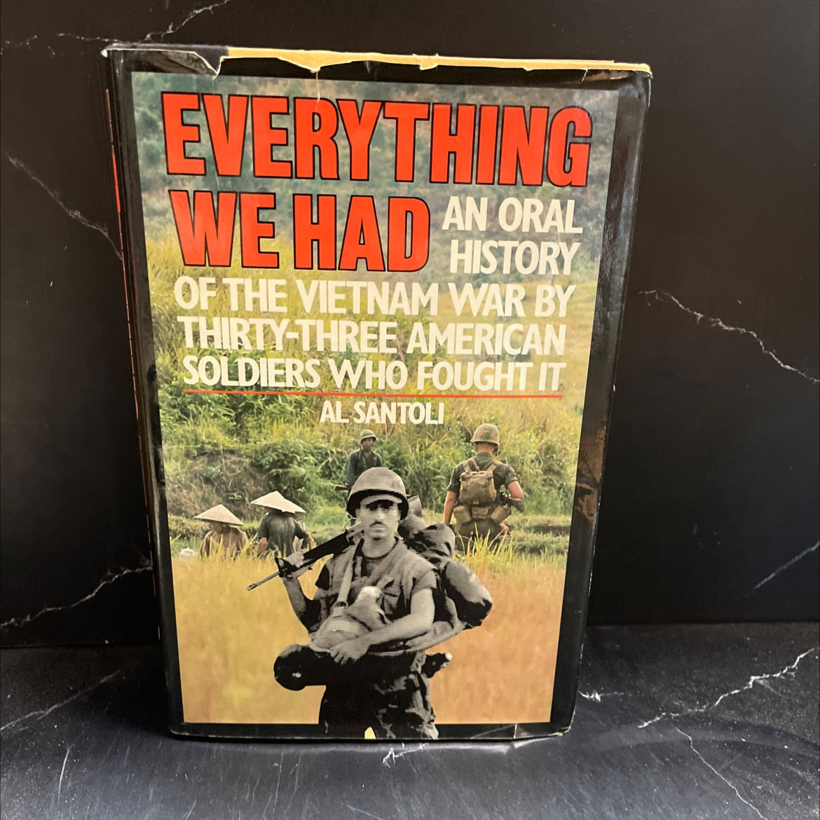 everything we had an oral history of the vietnam war by thirty-three american soldiers who fought it book, by al image 1