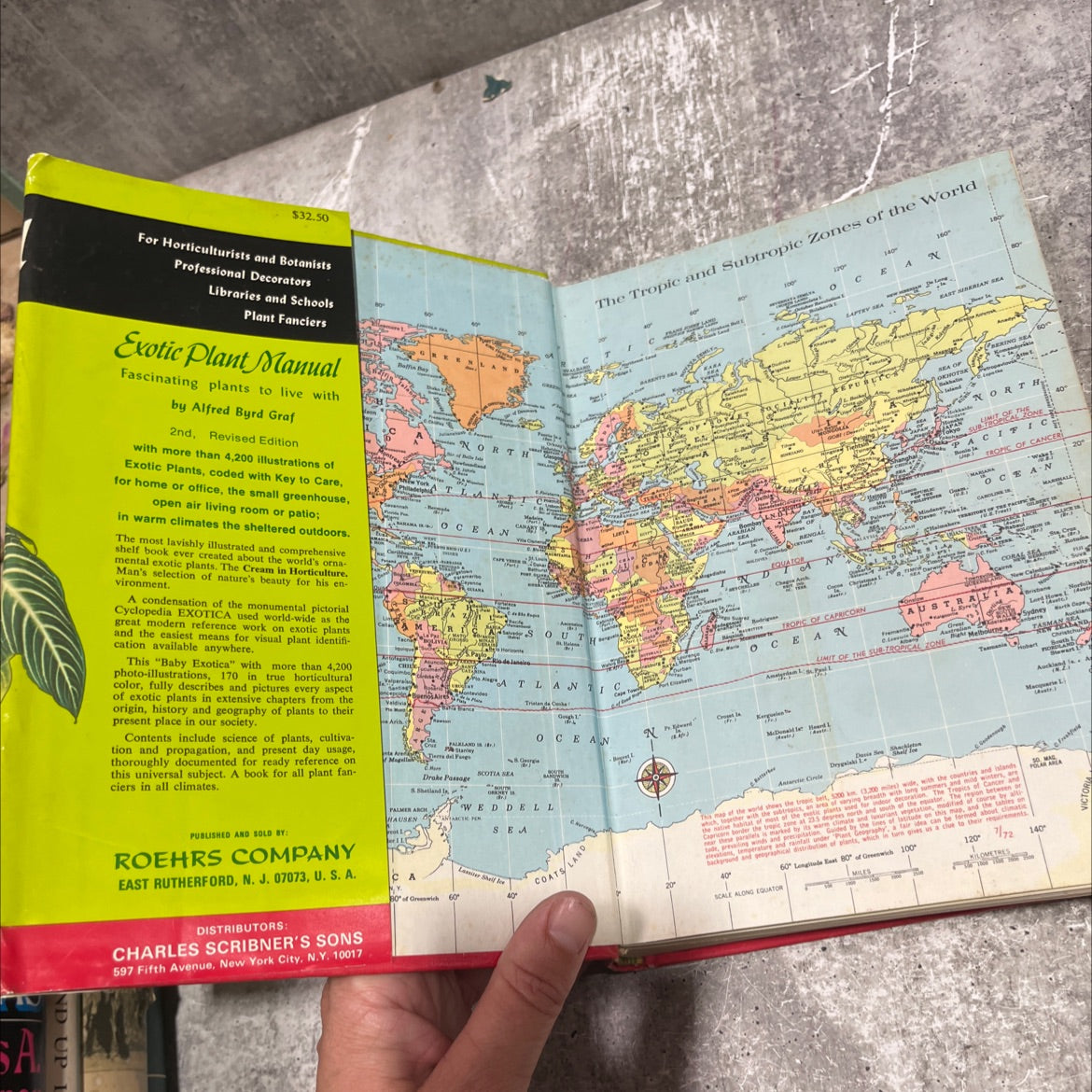 exotic plant manual book, by alfred byrd graf, 1970 Hardcover image 4