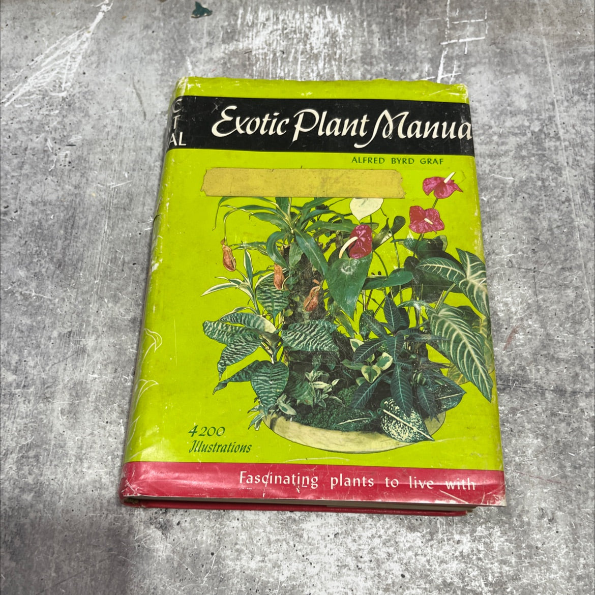 exotic plant manual book, by alfred byrd graf, 1970 Hardcover image 1