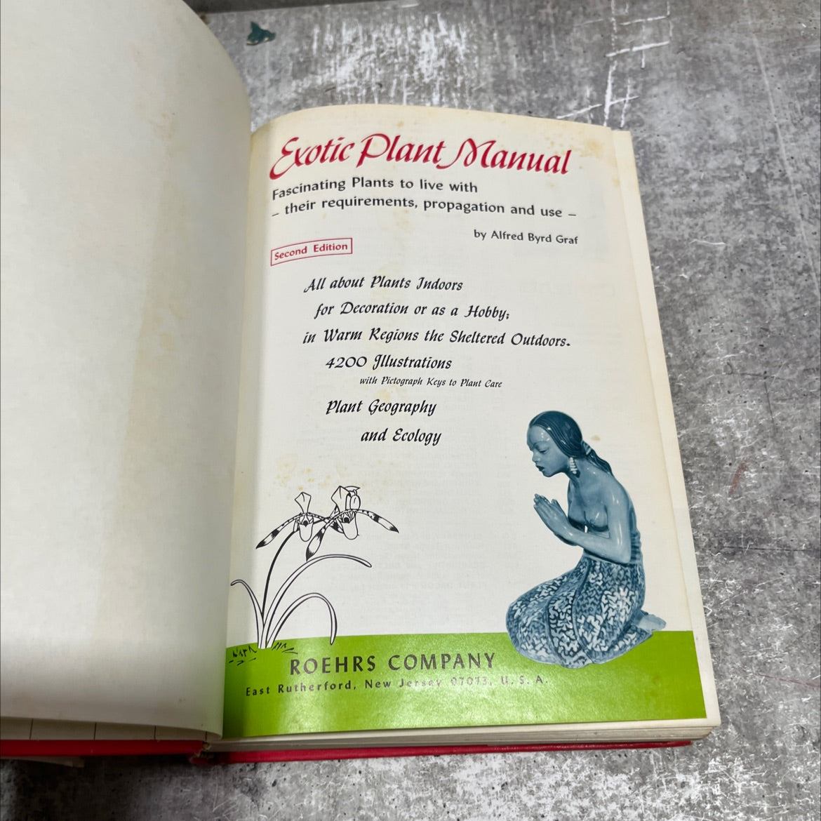 exotic plant manual book, by alfred byrd graf, 1970 Hardcover image 2
