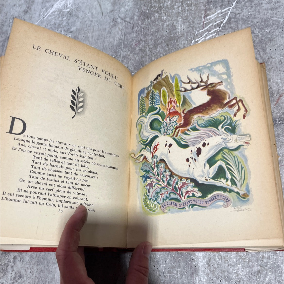 fables de la fontaine book, by hedwig alsinger, 1947 Hardcover image 4