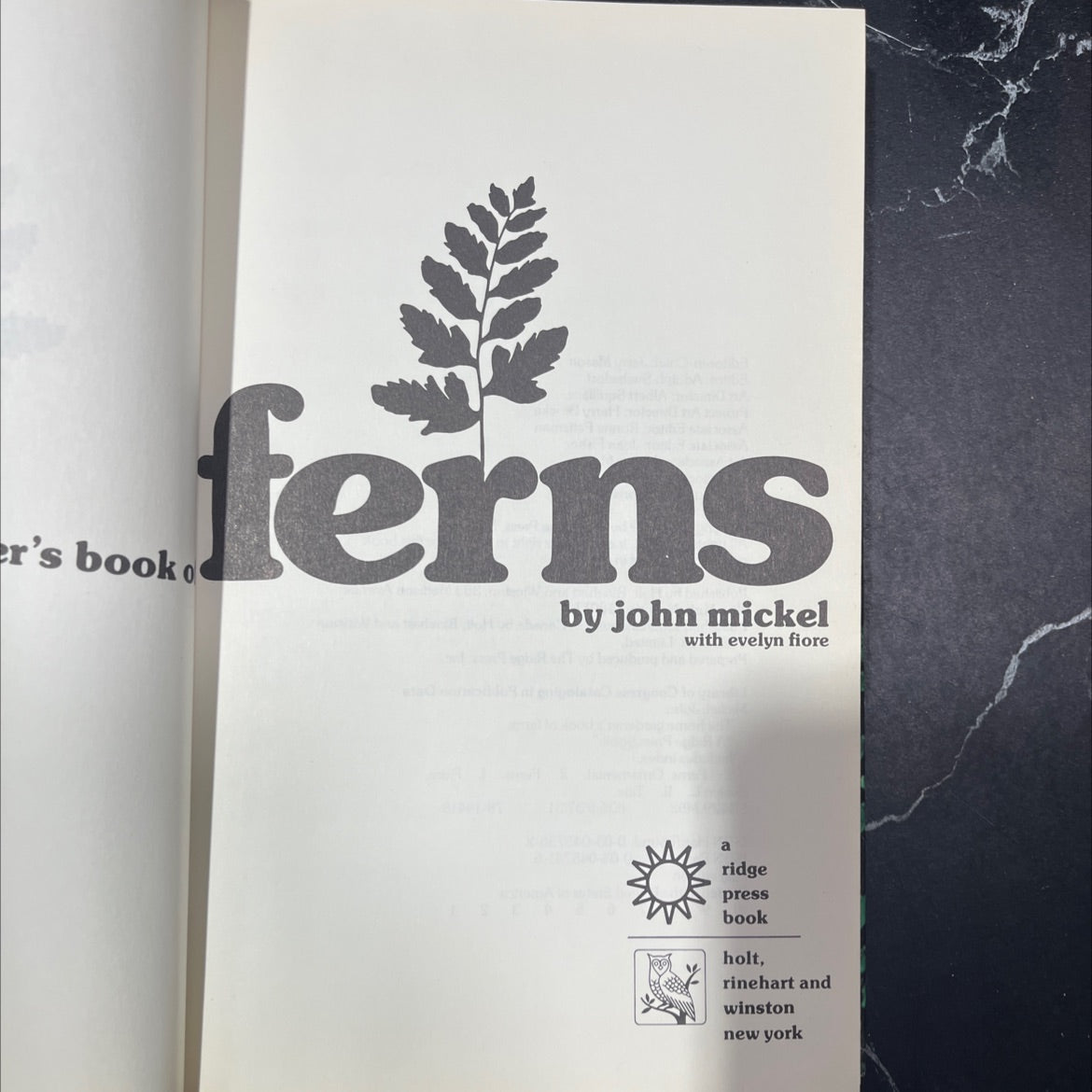 ferns book, by john mickel, evelyn fiore, 1979 Hardcover image 2