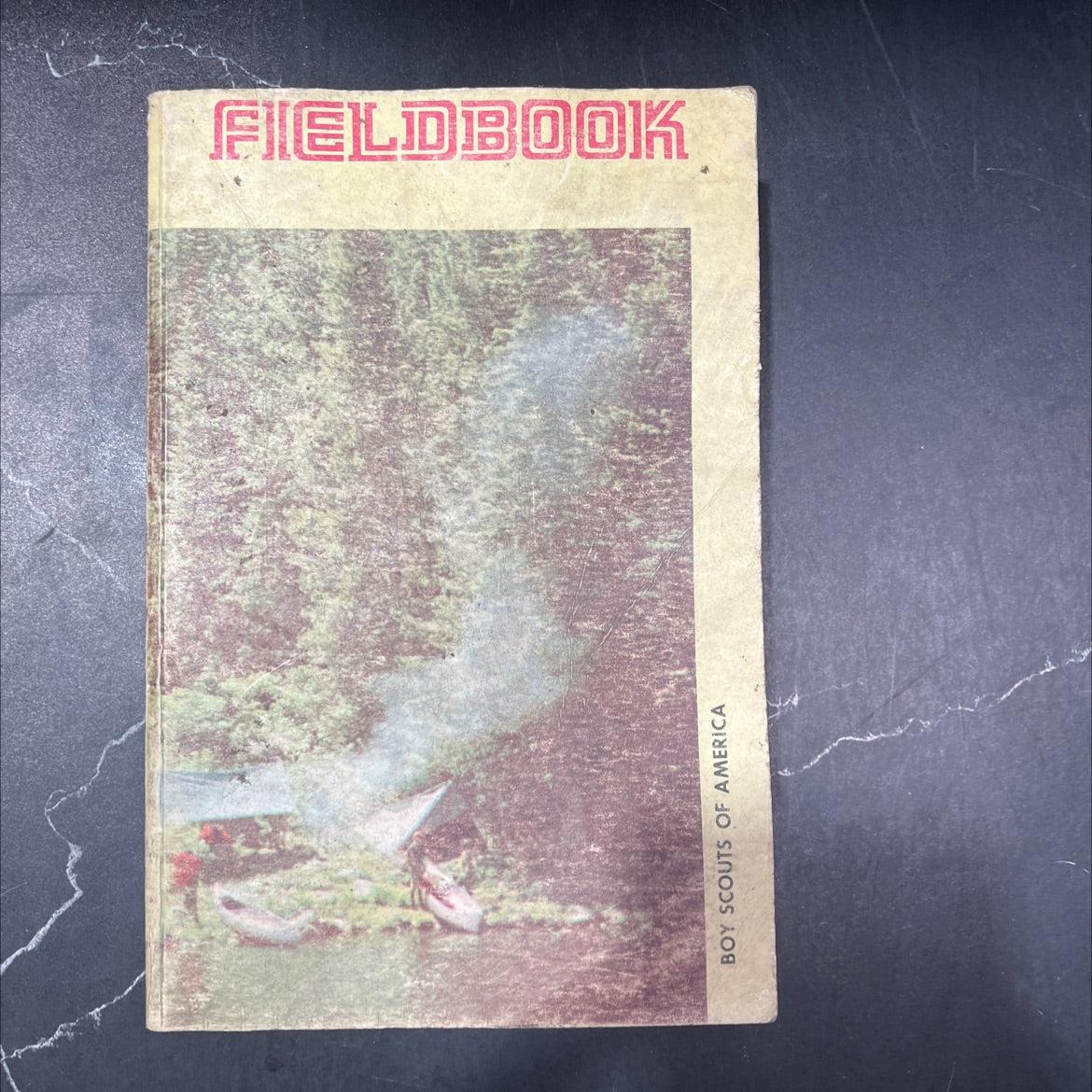 fieldbook for cub scouts scouts explorers scouters educators outdoorsmen family campers boy scouts of america book, by image 1