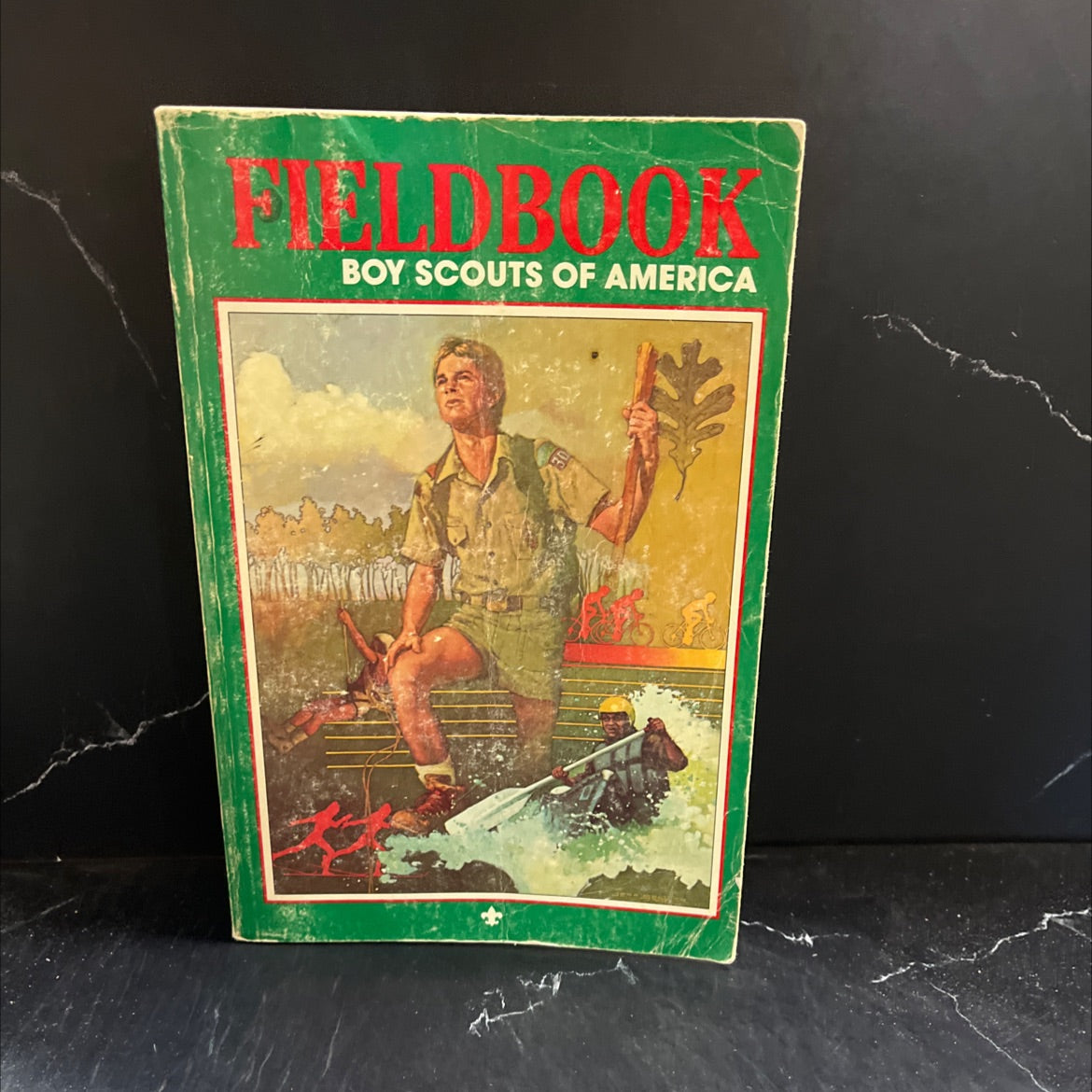 fieldbook book, by Boy Scouts of America, 1984 Hardcover image 1