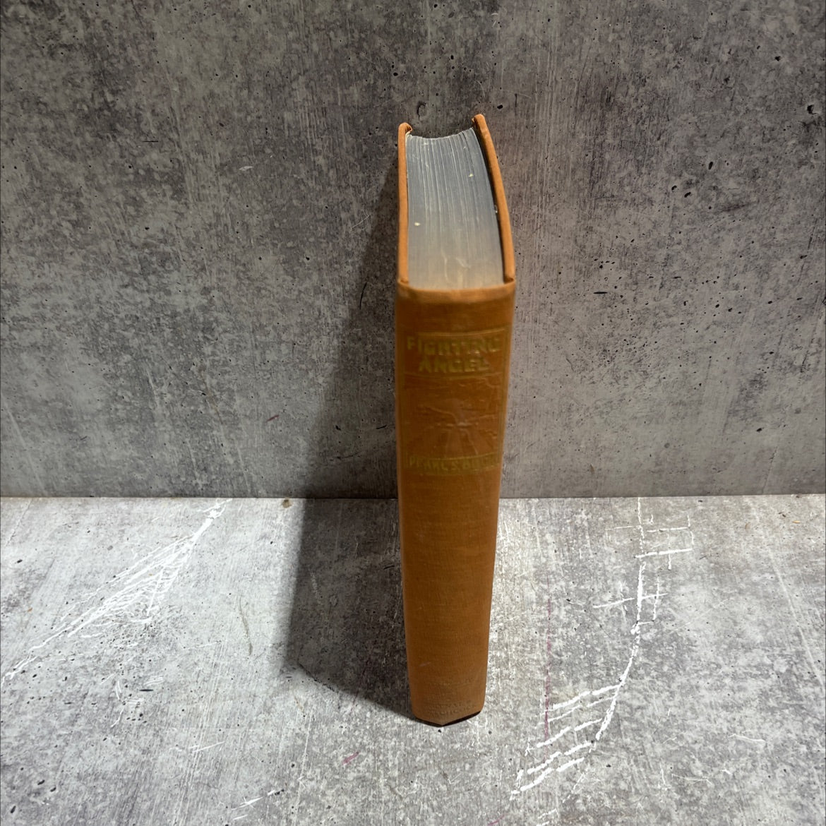 fighting angel portrait of a soul book, by pearl s. buck, 1936 Hardcover image 4