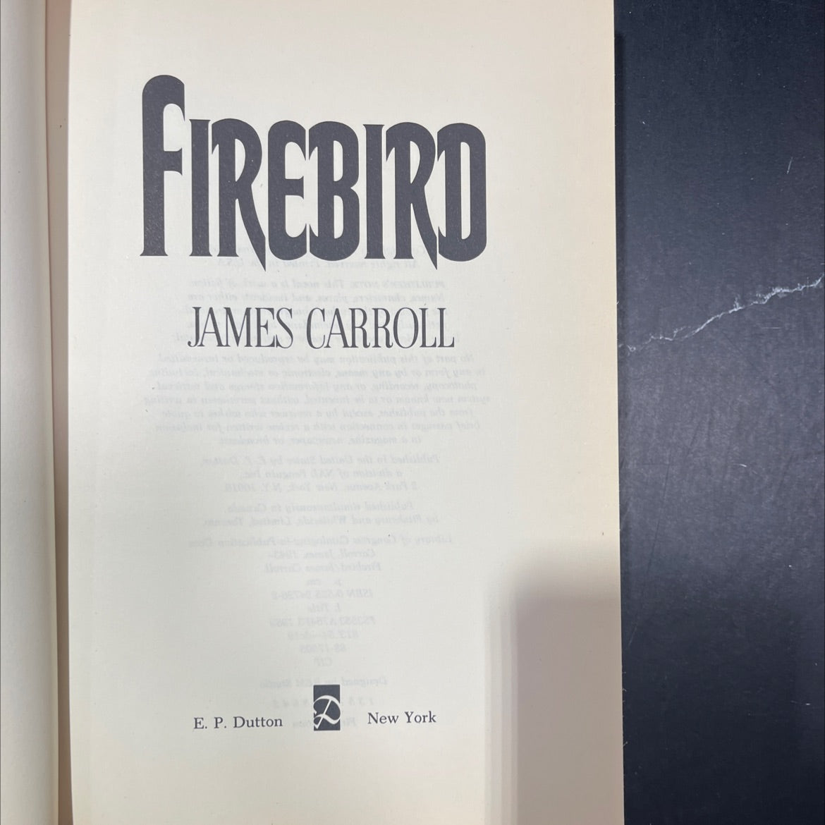 firebird book, by james carroll, 1989 Hardcover image 2