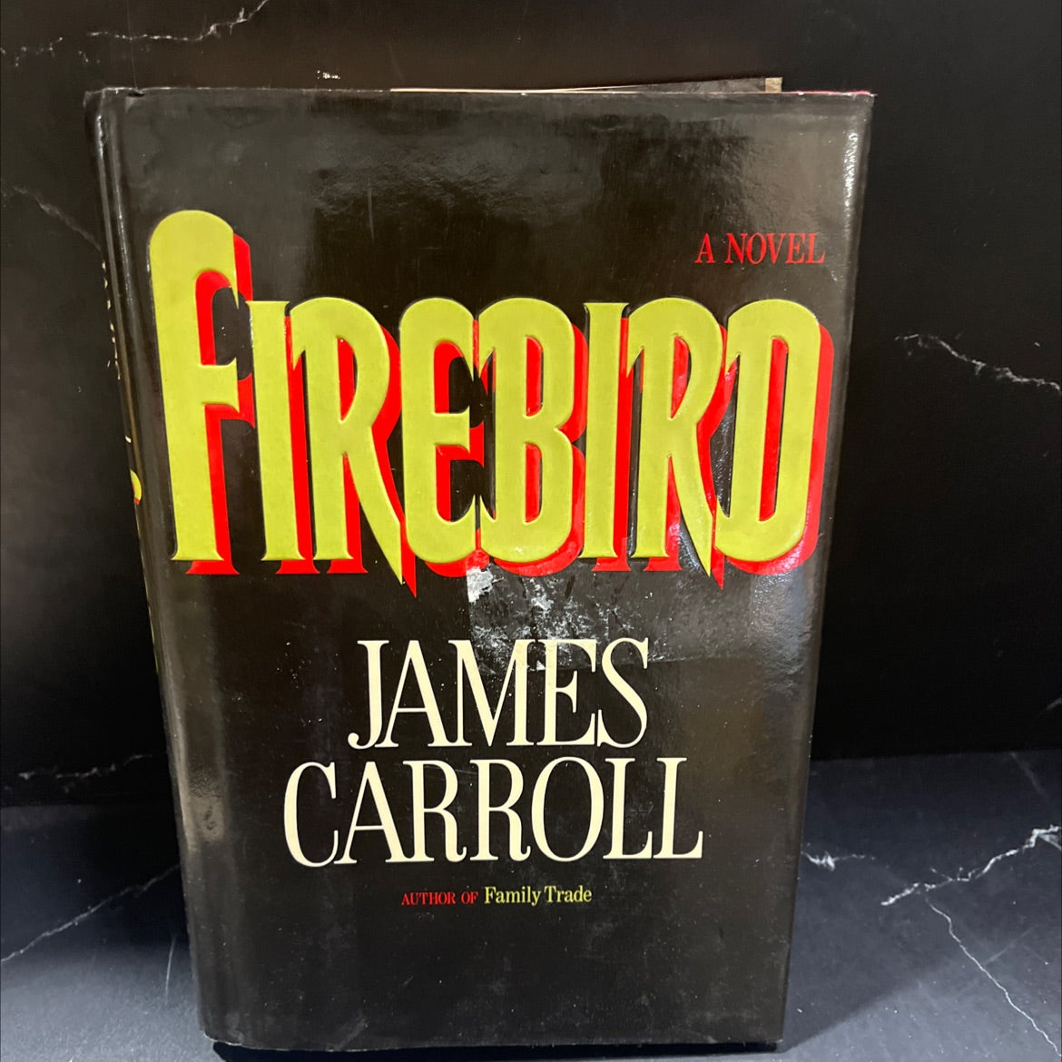 firebird book, by james carroll, 1989 Hardcover image 1