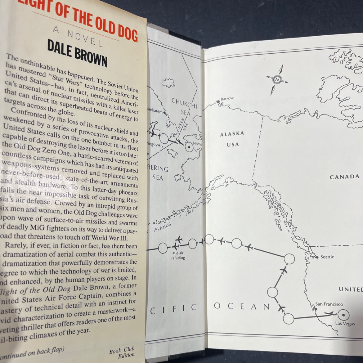 flight of the old dog book, by dale brown, 1987 Hardcover image 4