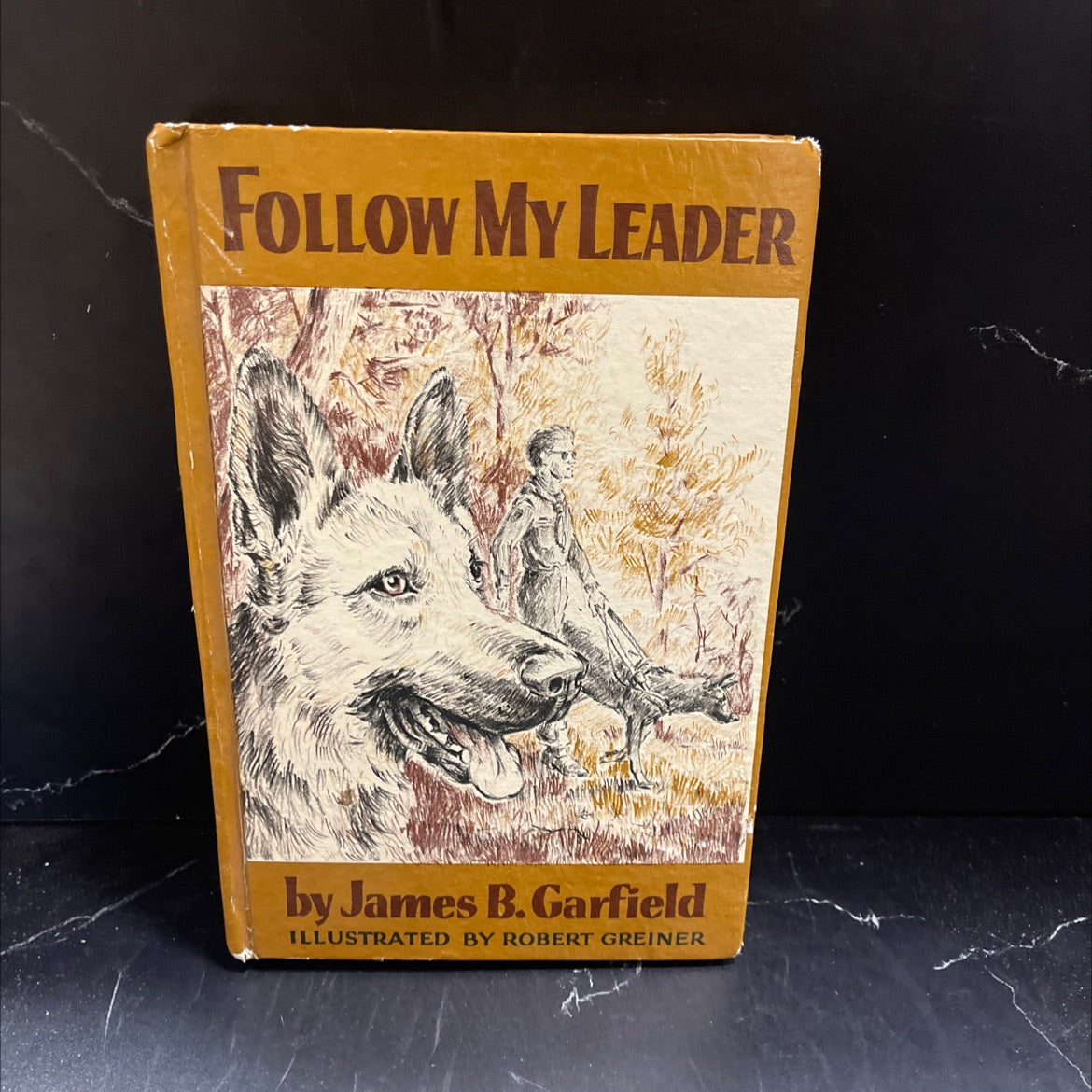 follow my leader book, by james b. garfield, 1957 Hardcover image 1