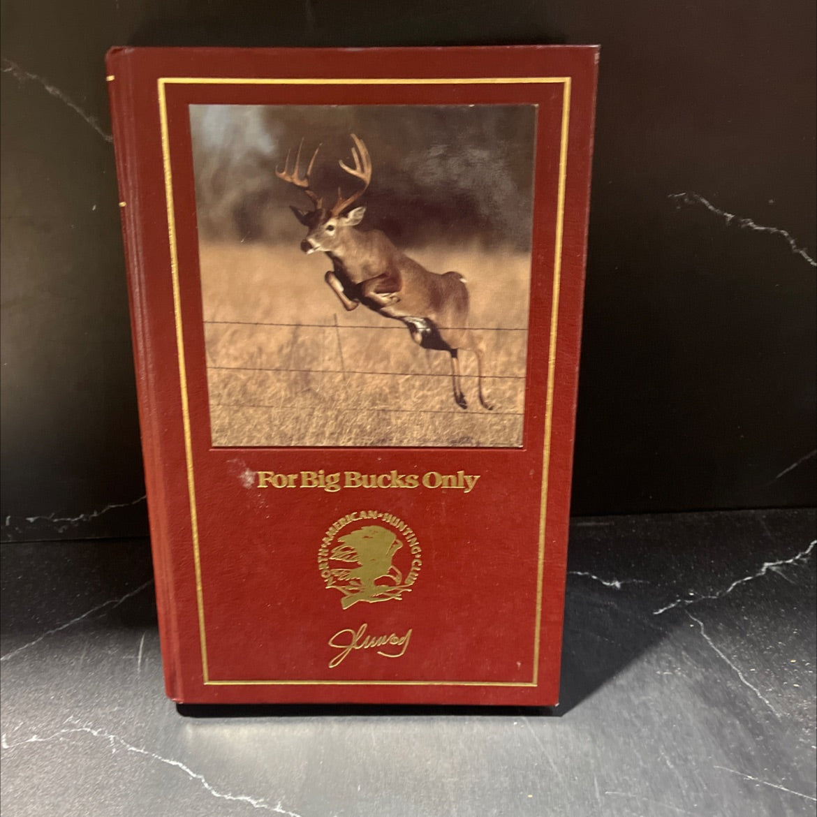 for big bucks only book, by unknown, 1989 Hardcover image 1