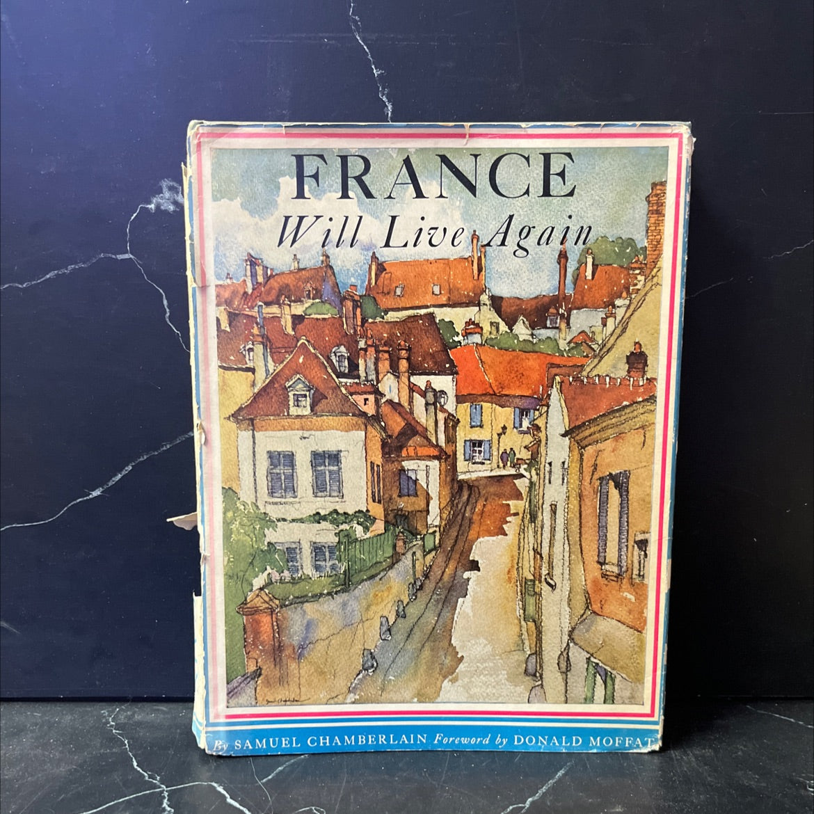 france will live again the portrait of a peaceful interlude 1919-1939 drawn with etchings lithographs sketches and image 1