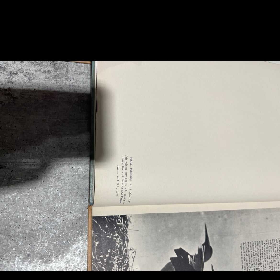 funk & wagalls wildlife encyclopedia book, by Dr. Maurice Burton and Robert Burton, 1974 Hardcover image 3