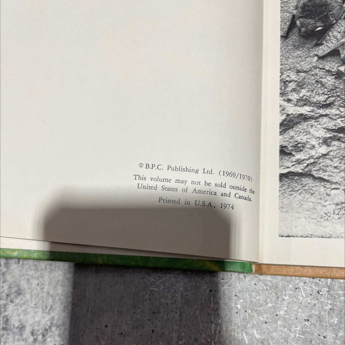 funk & wagnalls wildlife encyclopedia book, by Dr. Maurice Burton and Robert Burton, 1970 Hardcover image 3