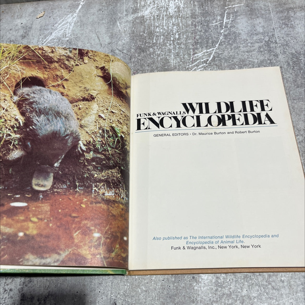 funk & wagnalls wildlife encyclopedia book, by Dr. Maurice Burton and Robert Burton, 1970 Hardcover image 2